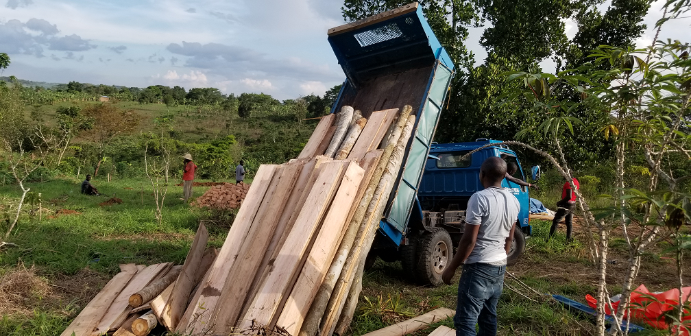 Men unloading timber logs from a blue truck in a rural area with greenery and small trees.