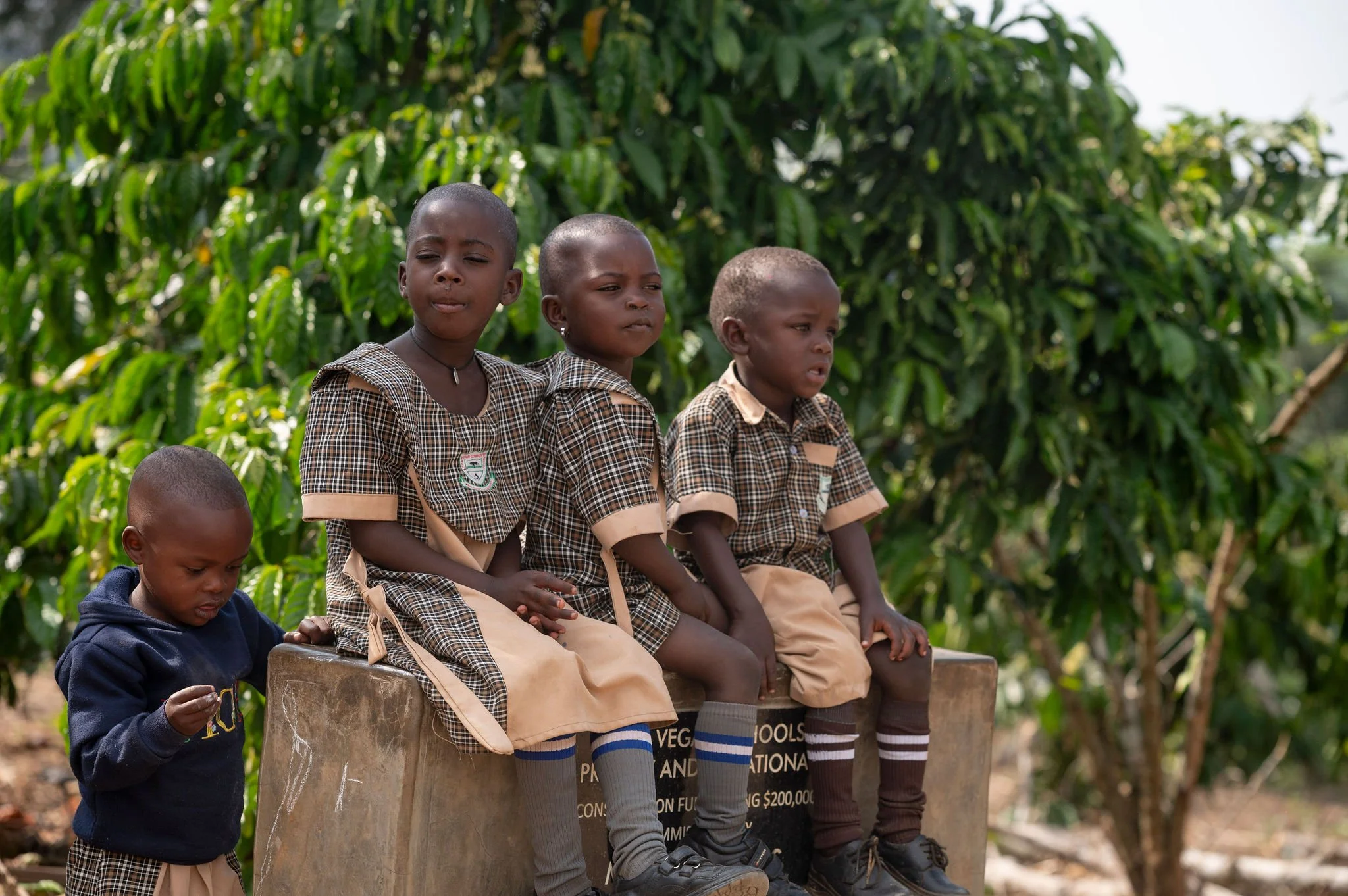 Four children sitting on a stone bench outdoors, with a lush green background, wearing school uniforms. One child is standing nearby, looking down, holding a small object.