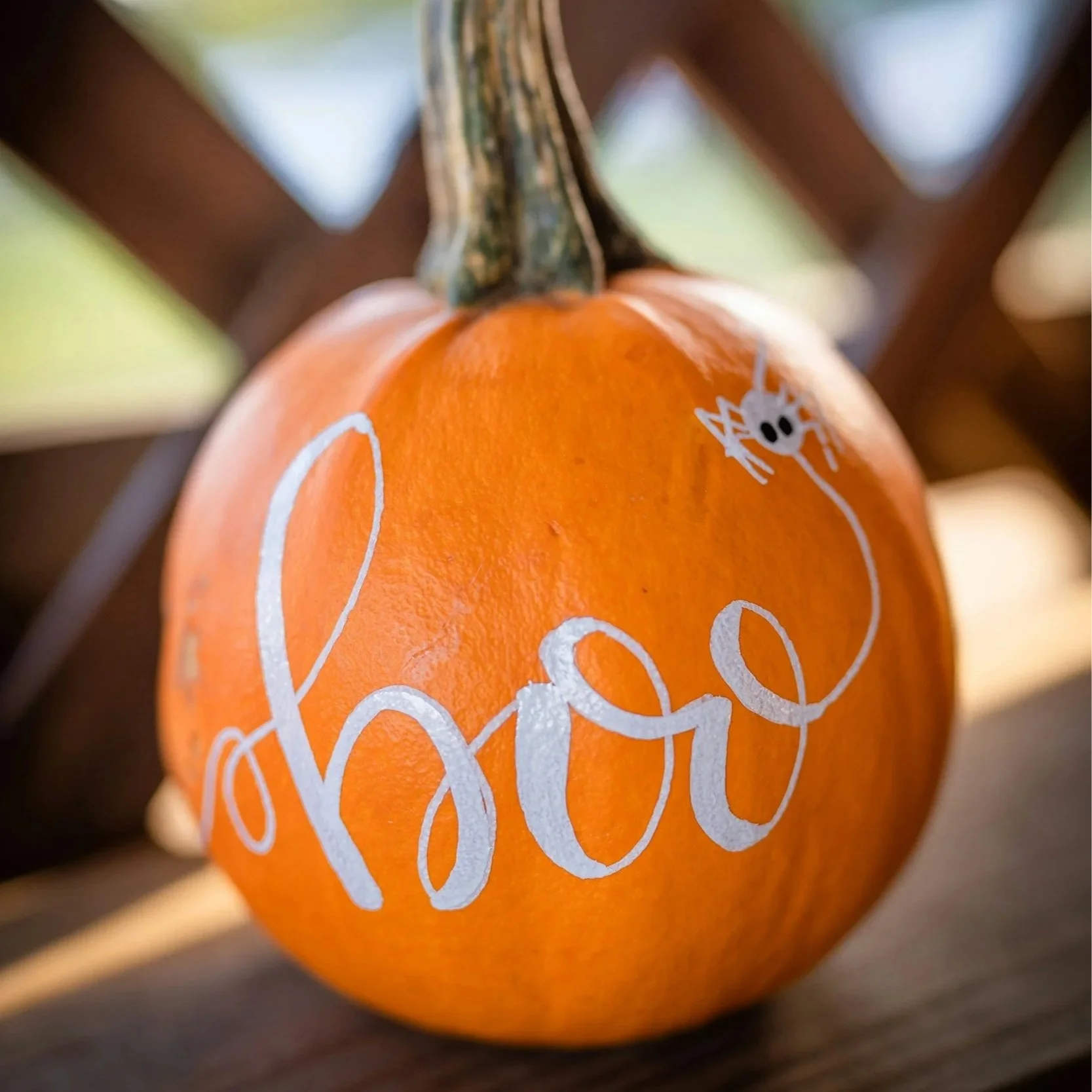 Close-up of a small orange pumpkin decorated with white marker drawings, including a spider with black eyes, attached to a tree branch or wooden surface.