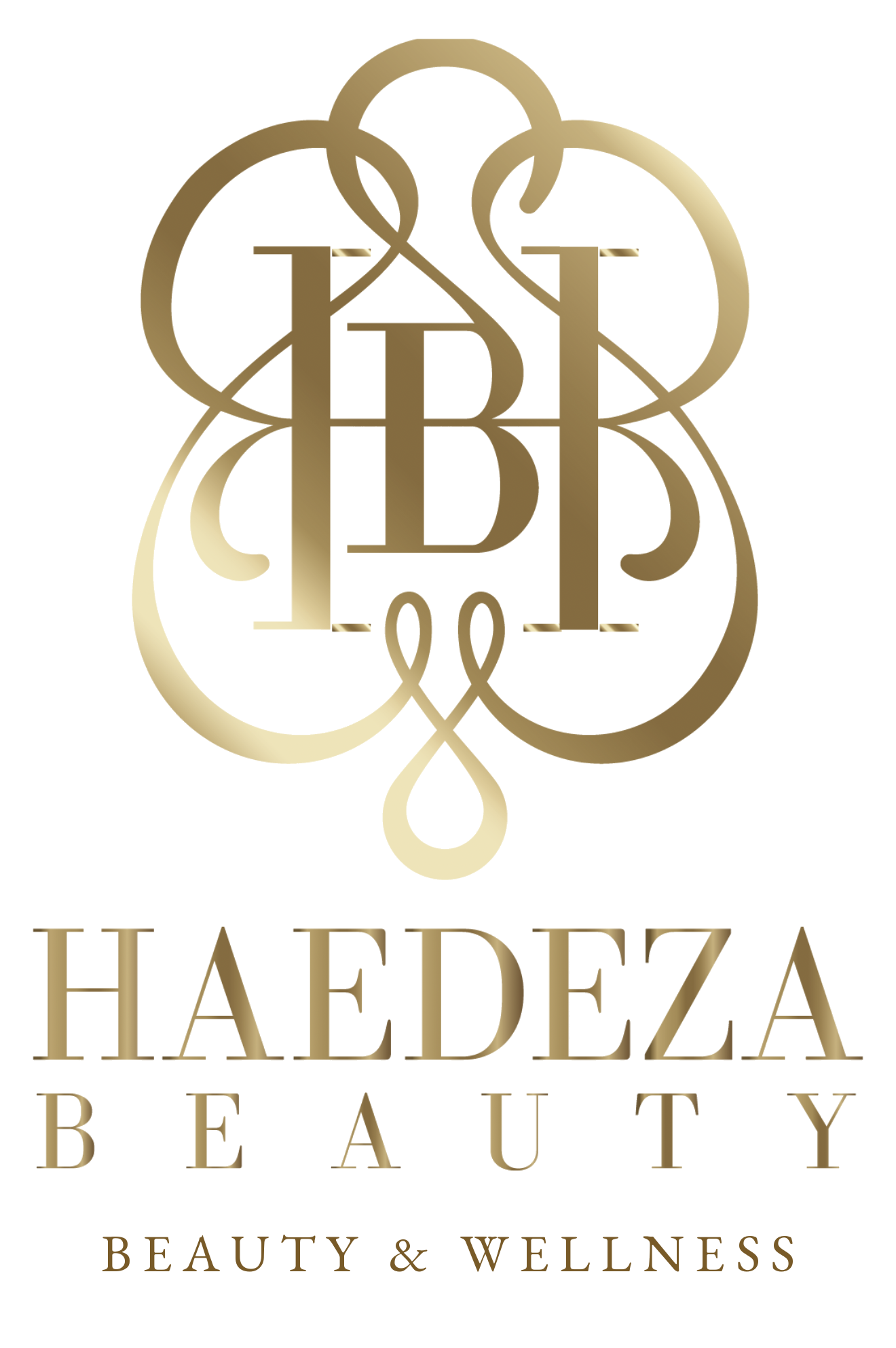 Logo mit dem Namen 'Haideza' in goldener Schrift, darunter die Begriffe 'Beauty & Wellness' in kleiner Schrift, mit einem grafischen Design eines stilisierten Blattes oder Blumen in Gold im oberen Bereich.