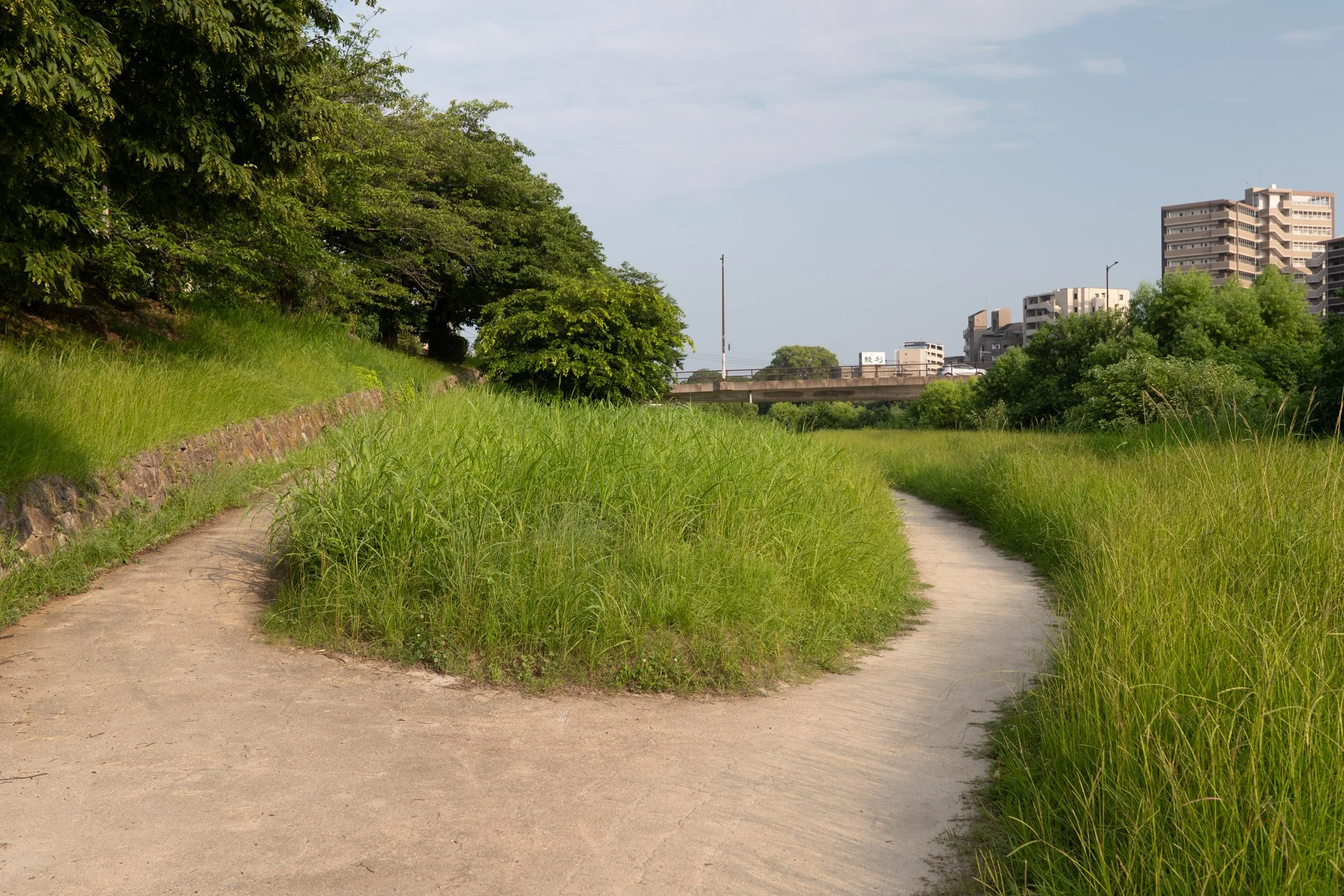 P1022165.jpg