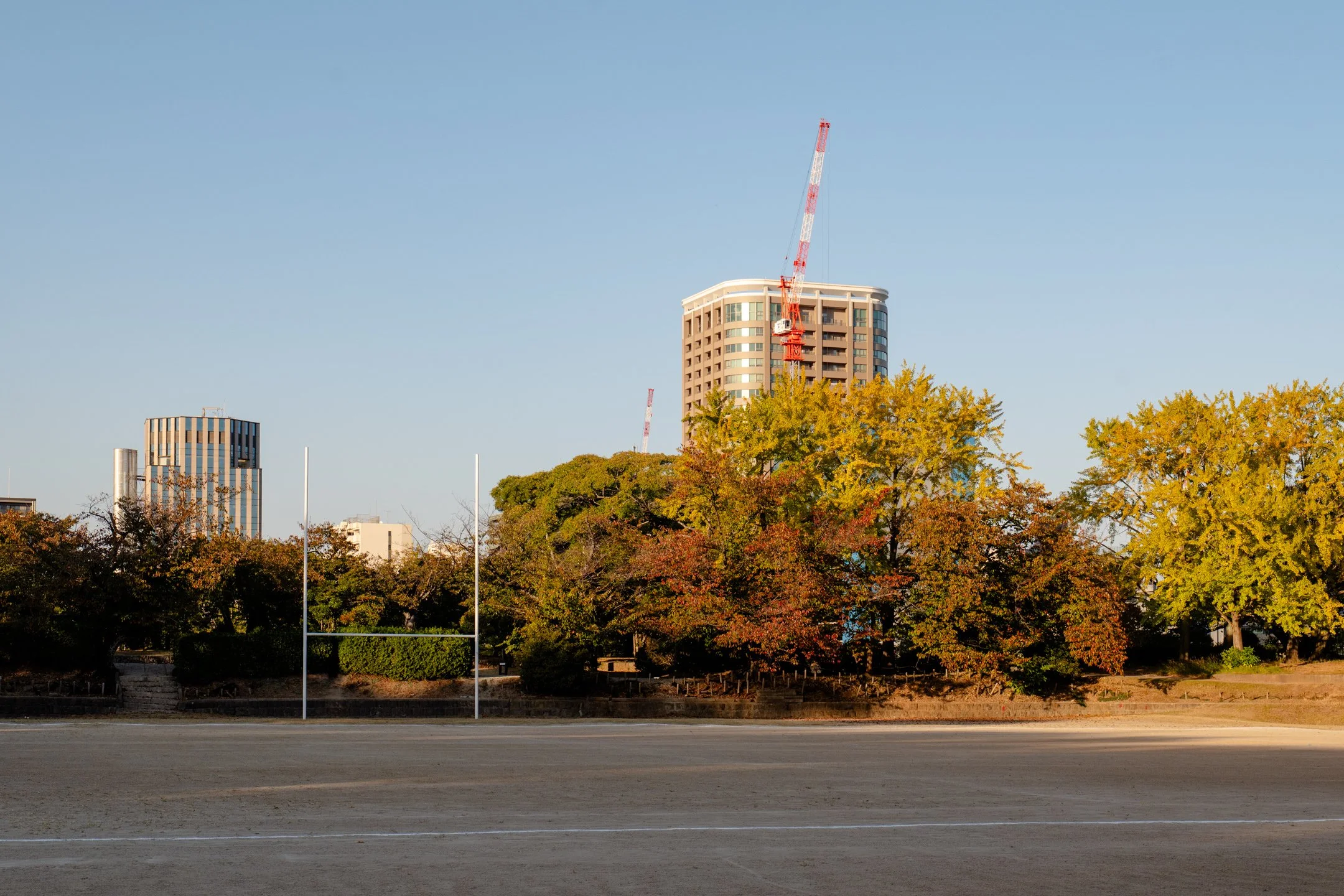 P1030429.jpg