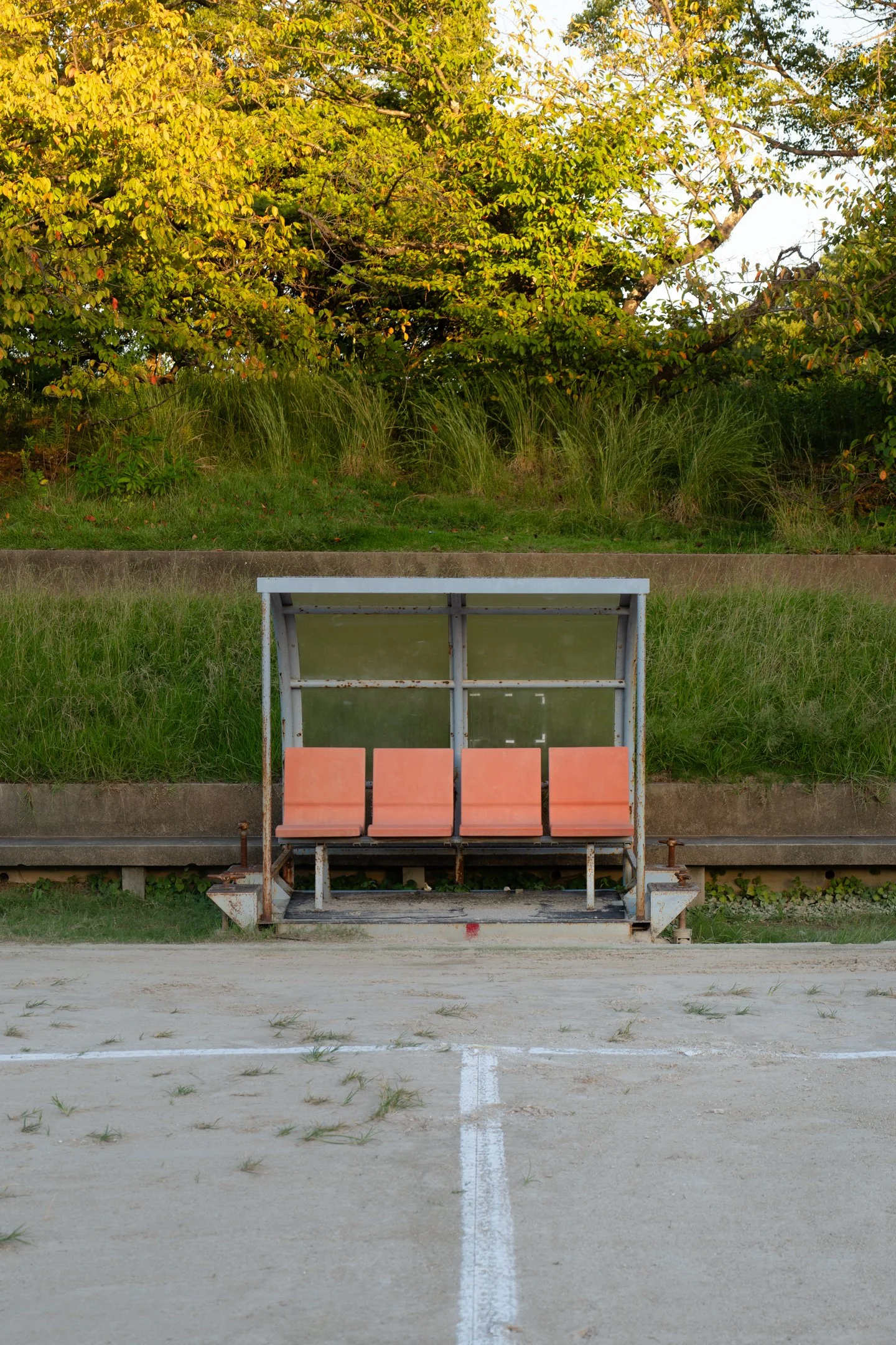 P1028746.jpg