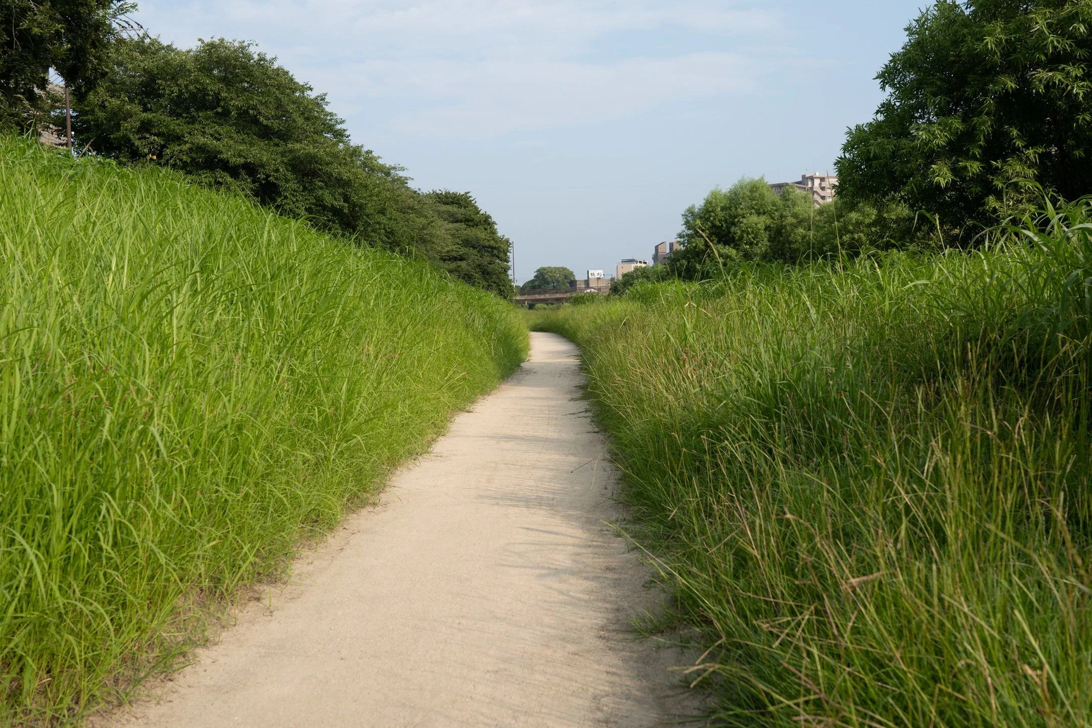 P1022156.jpg