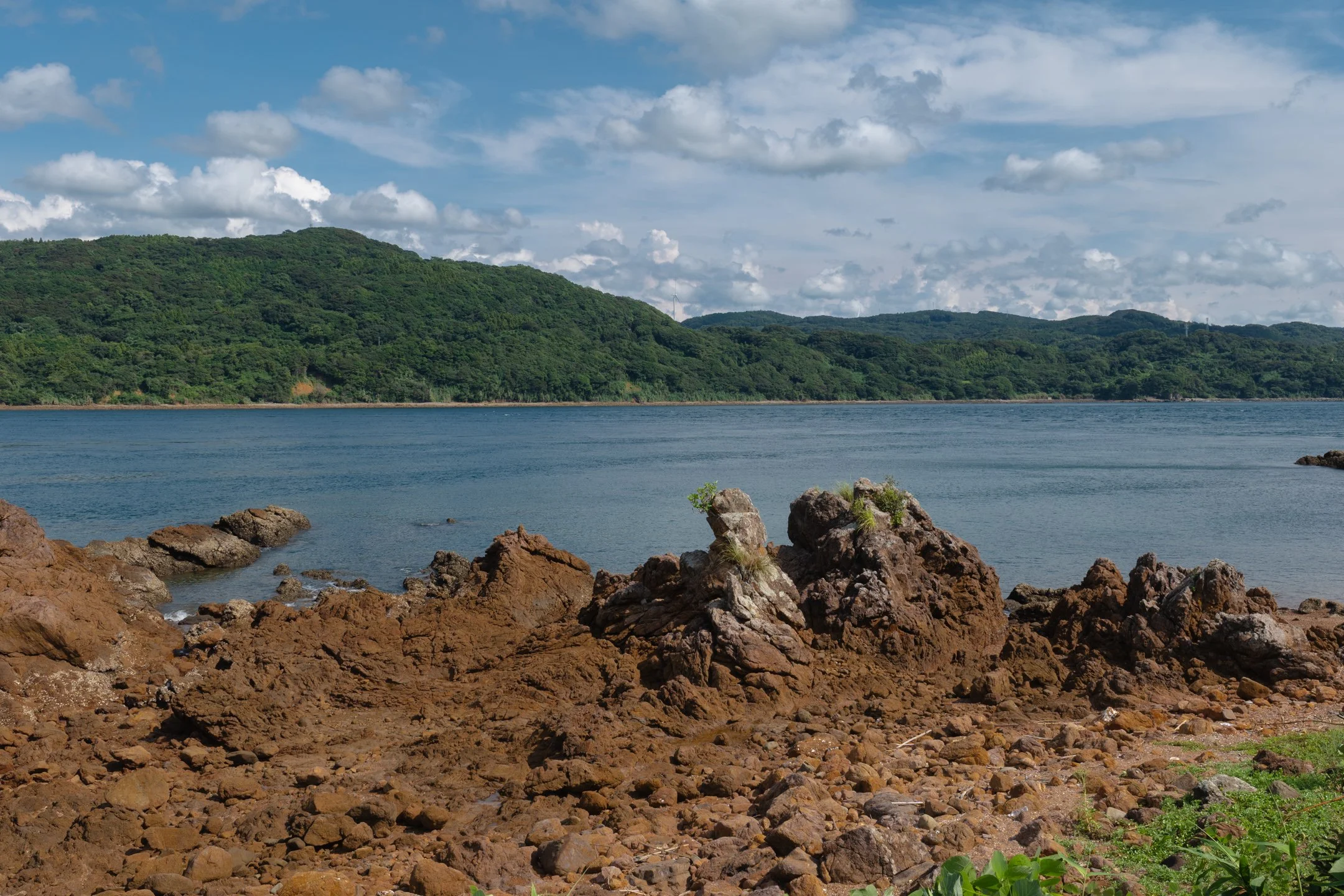 P1027785.jpg