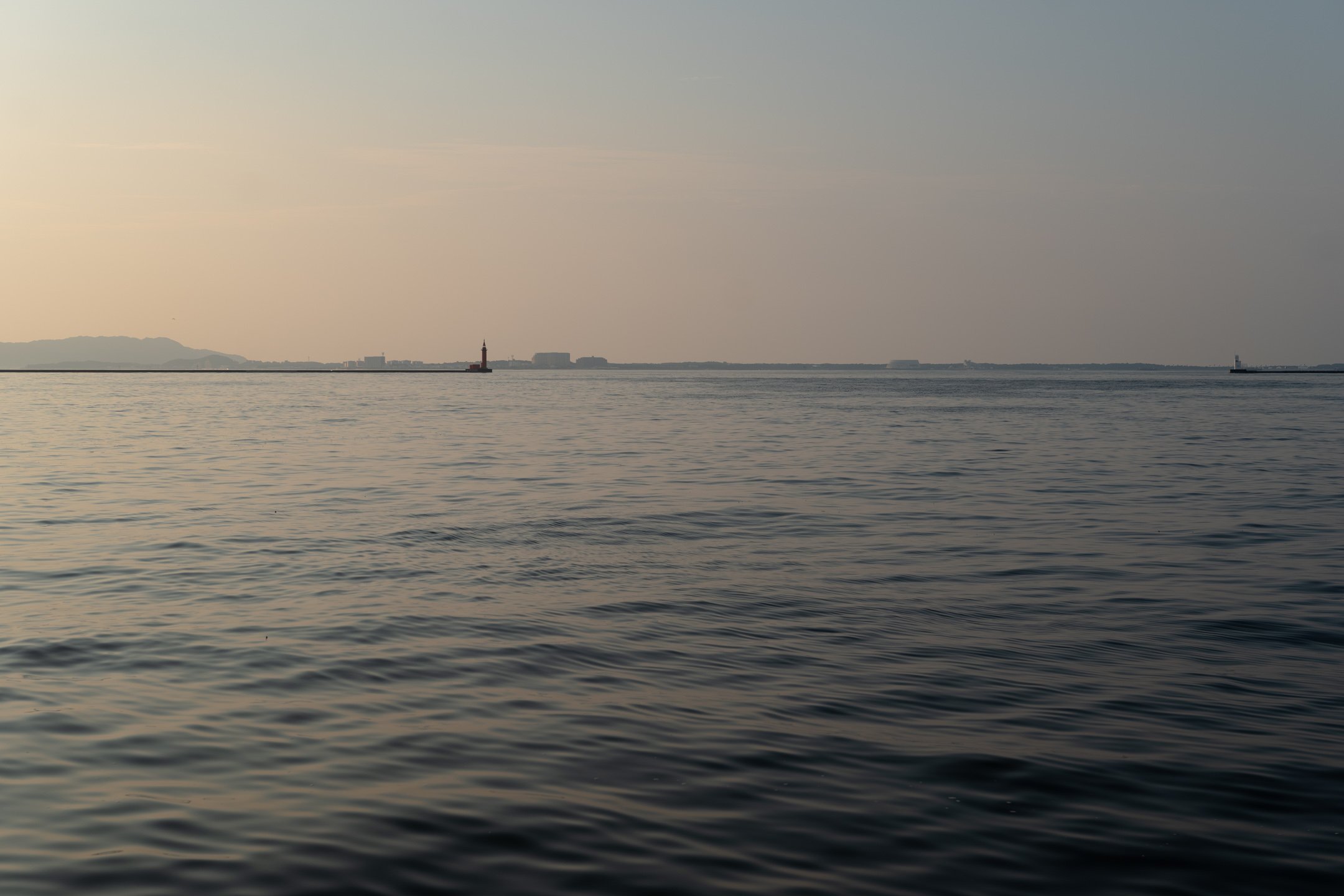 P1025571.jpg