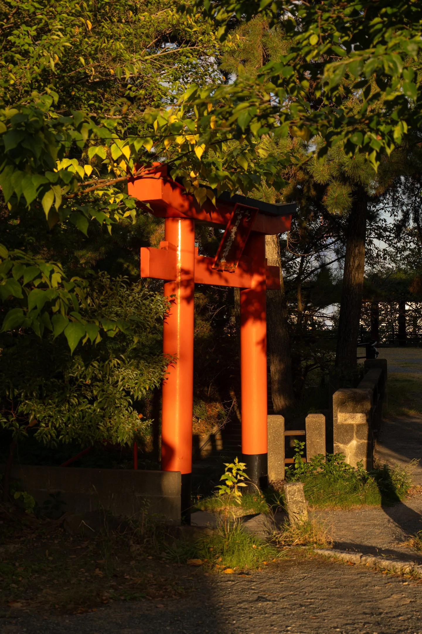 P1030148.jpg