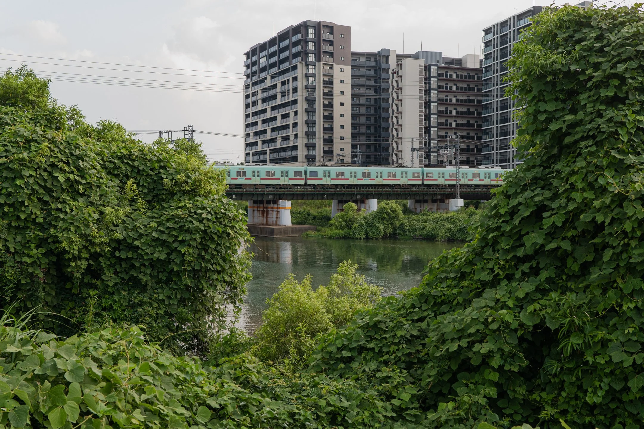P1022264.jpg