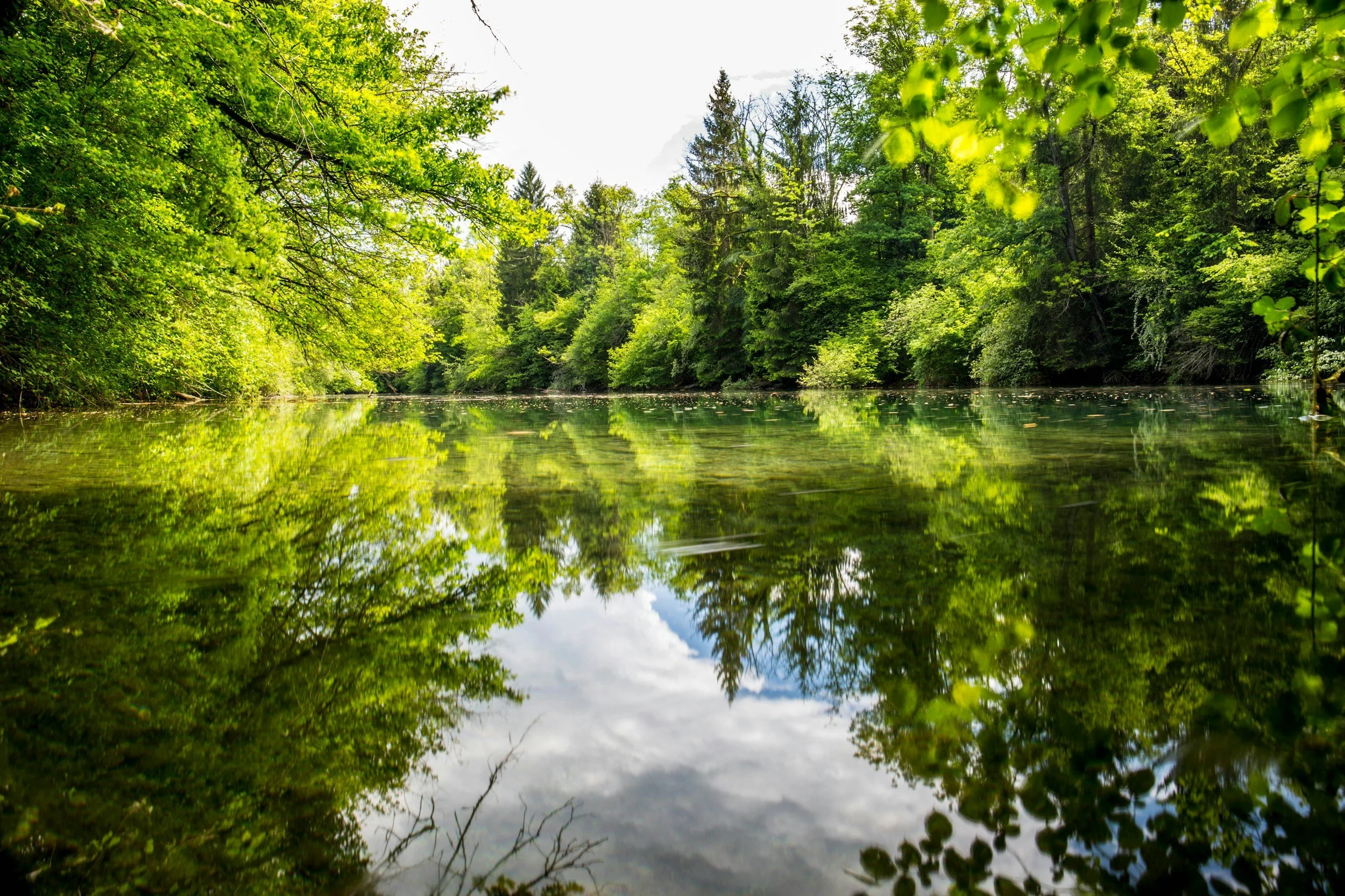 Redruth - 10 Acre Woodland / Pond Site containing 50 units