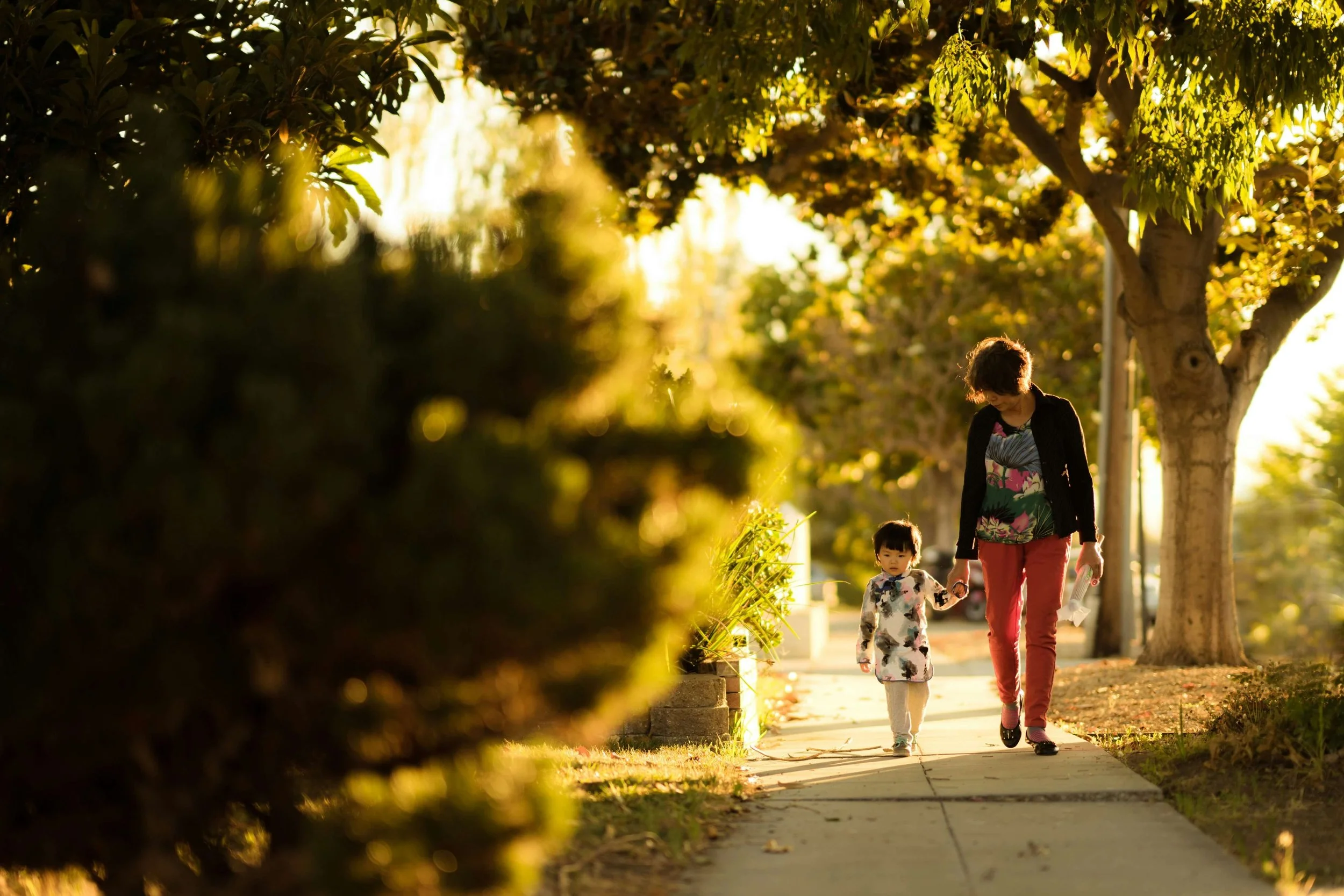 A woman walking with a young child on a sidewalk in a neighborhood lined with trees during sunset. The trees have green leaves, and there are shadows cast on the sidewalk.