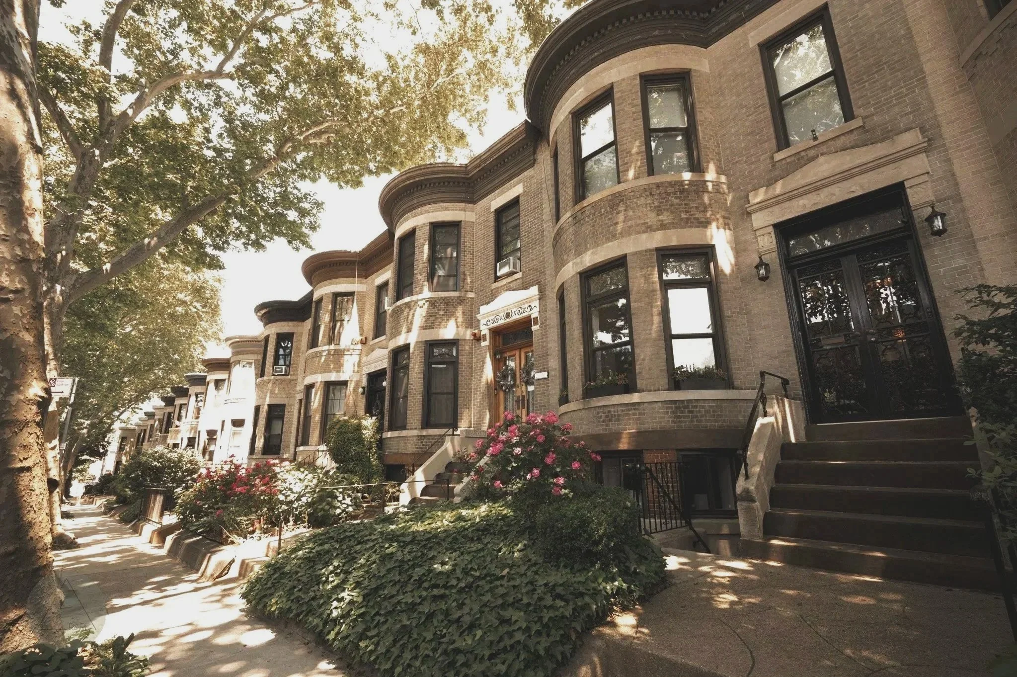Limestone row houses on tree-lined street in Bay Ridge, Brooklyn