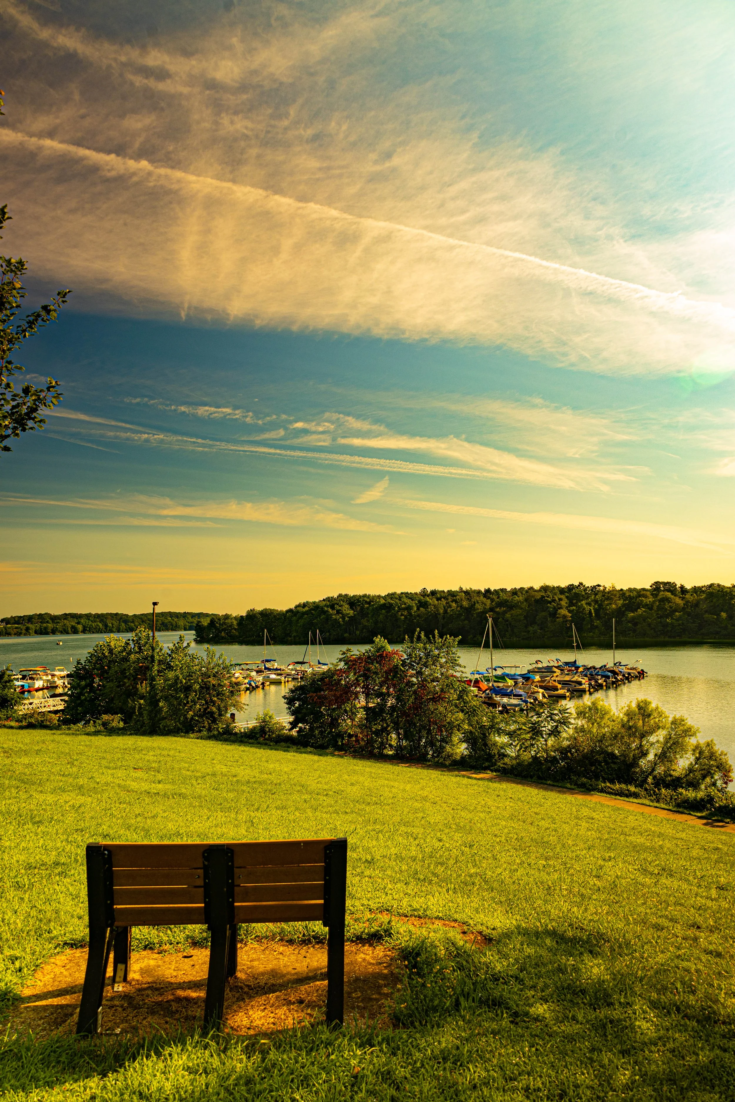 Watching the boats.
