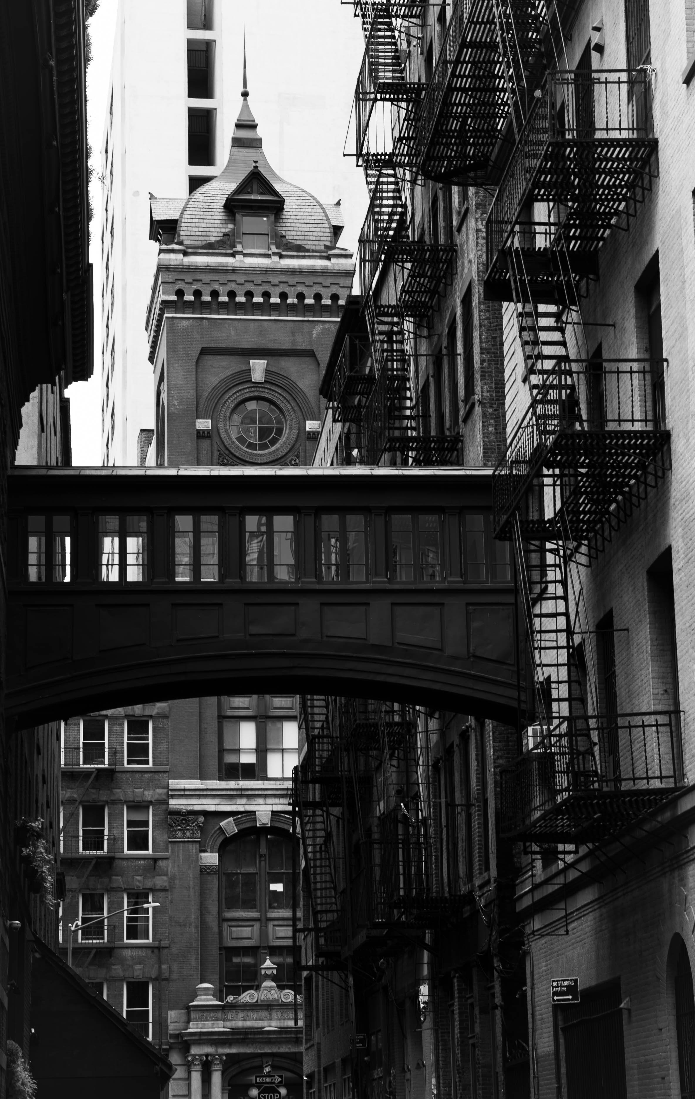 staple sky bridge B&W.jpg
