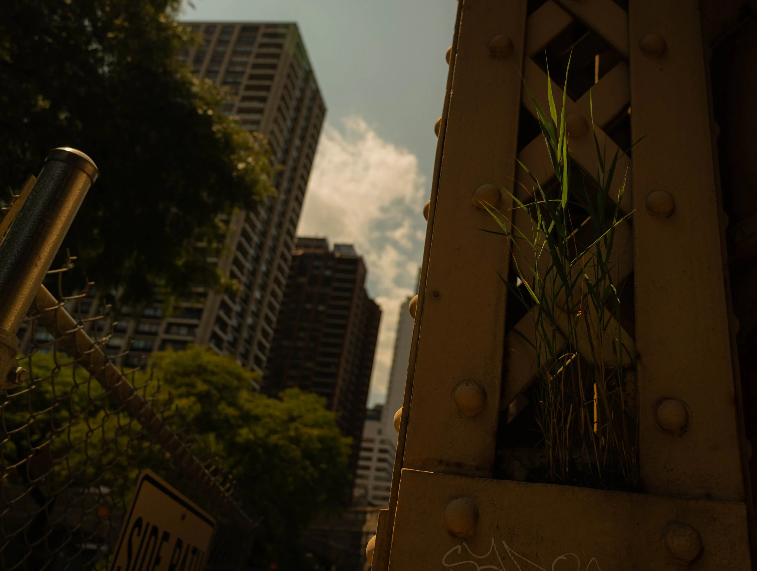 quick arty street photo.jpg