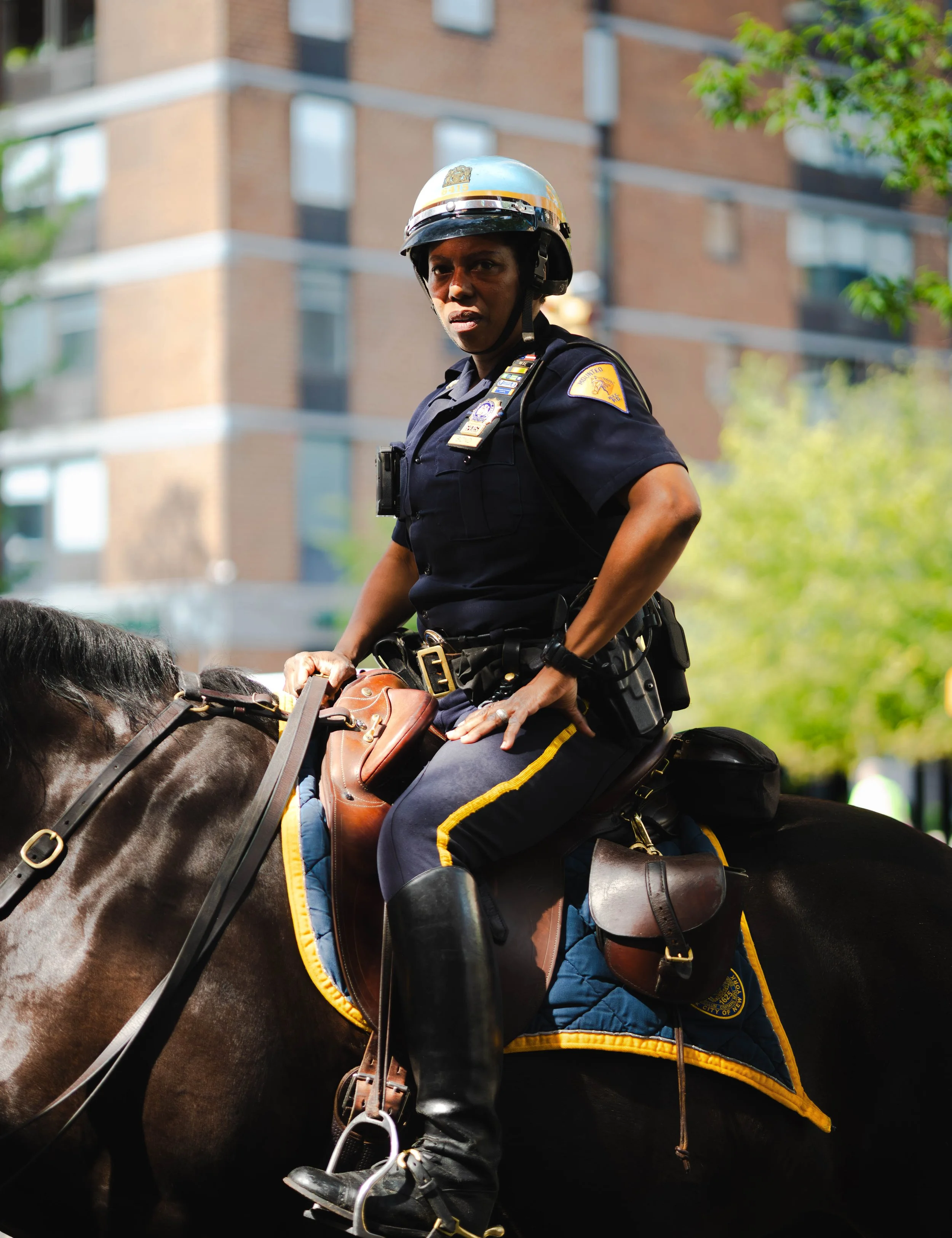Horse cop of hells kitchen