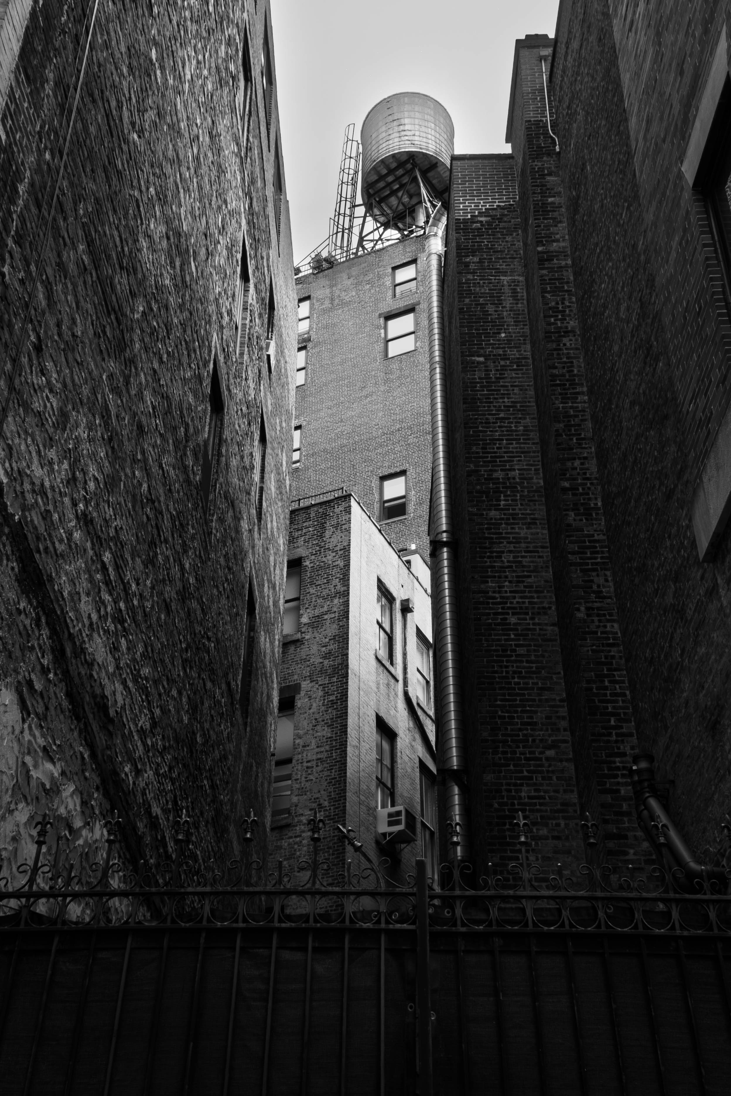 NYC alley.jpg