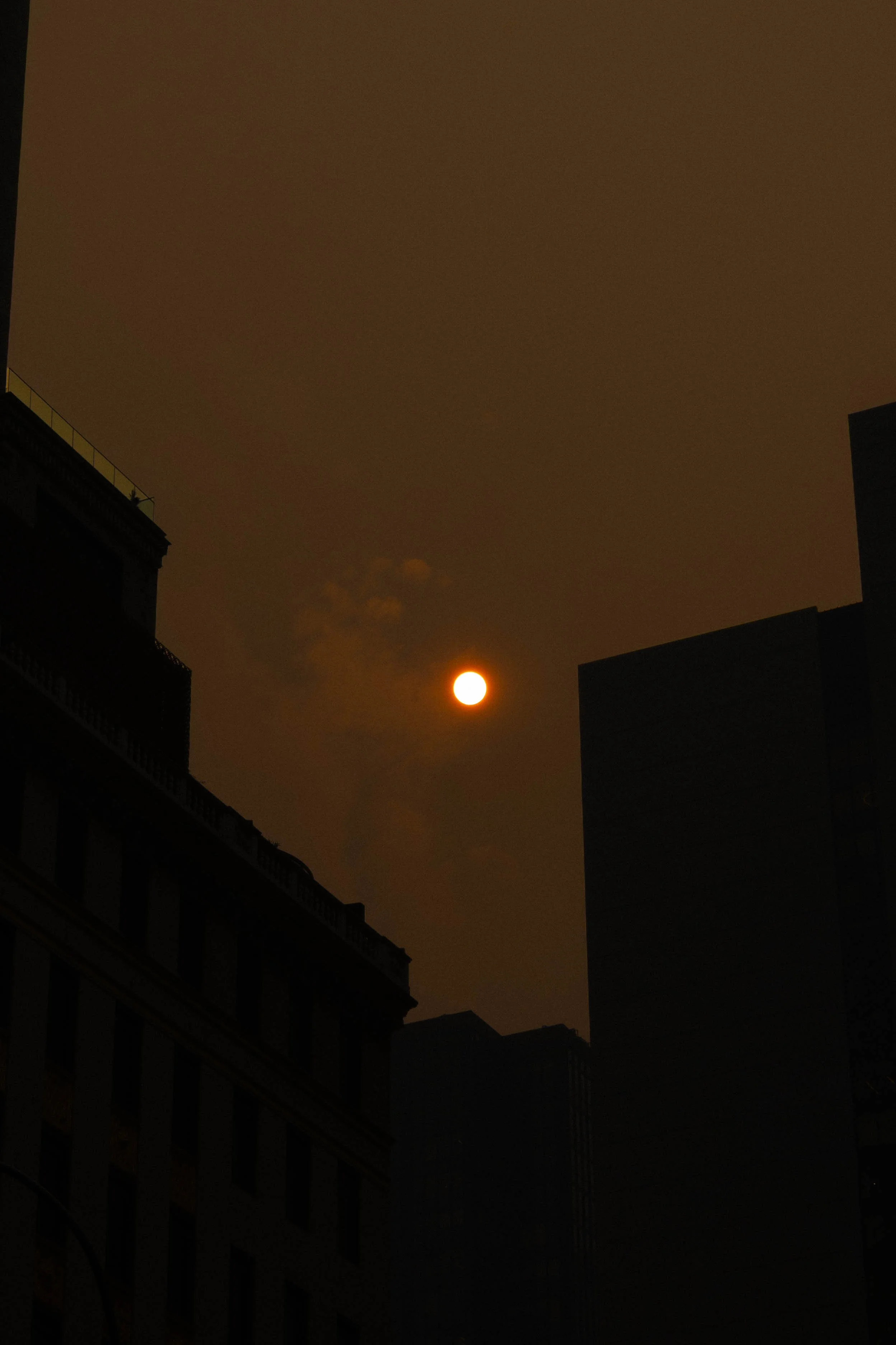 burnt sun.jpg