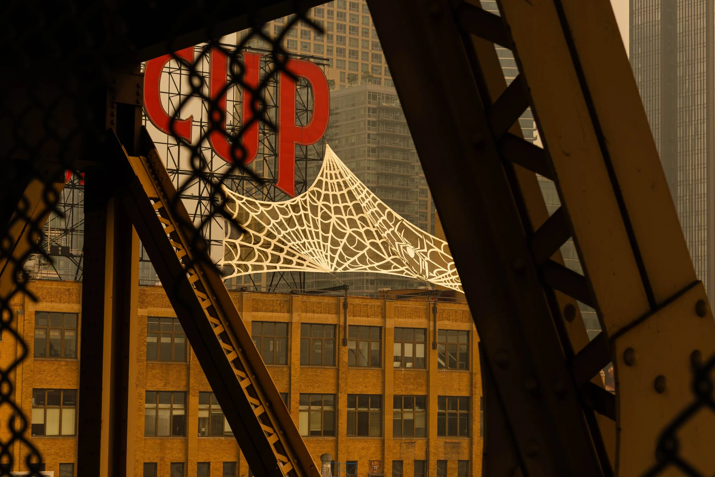 the spider returns.jpg