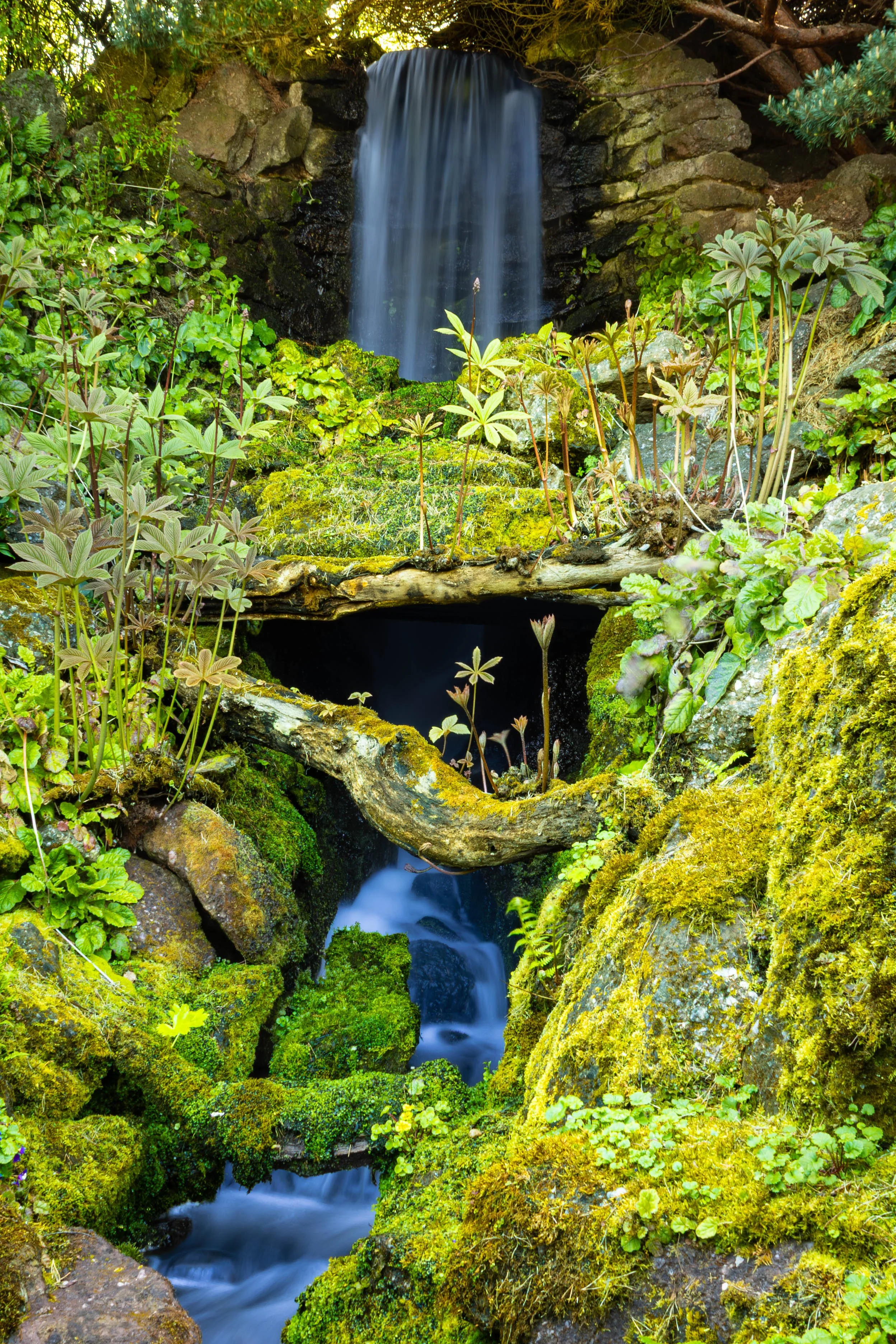 The best waterfall in Edinburgh is hidden at the Royal Botanical Gardens in new town.