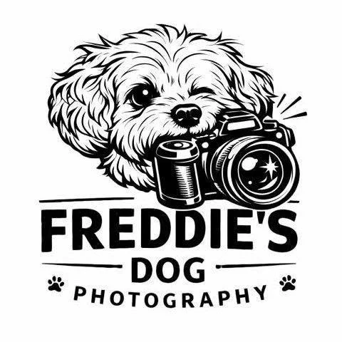Illustration of a cute dog with a camera, representing Freddie's Dog Photography logo.