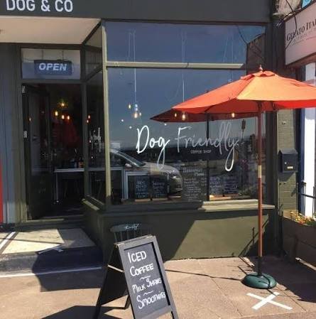 Storefront for a dog-friendly coffee shop with outdoor seating, an orange umbrella, and an ice coffee sign.