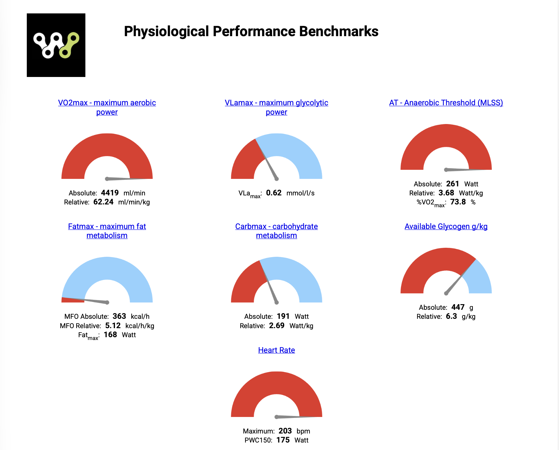 A fitness report showing various physiological performance measurements including maximum aerobic power, maximum glycolytic power, anaerobic threshold, maximum fat metabolism, carbohydrate metabolism, glycogen levels, and heart rate, all displayed with colorful gauge charts and labels.