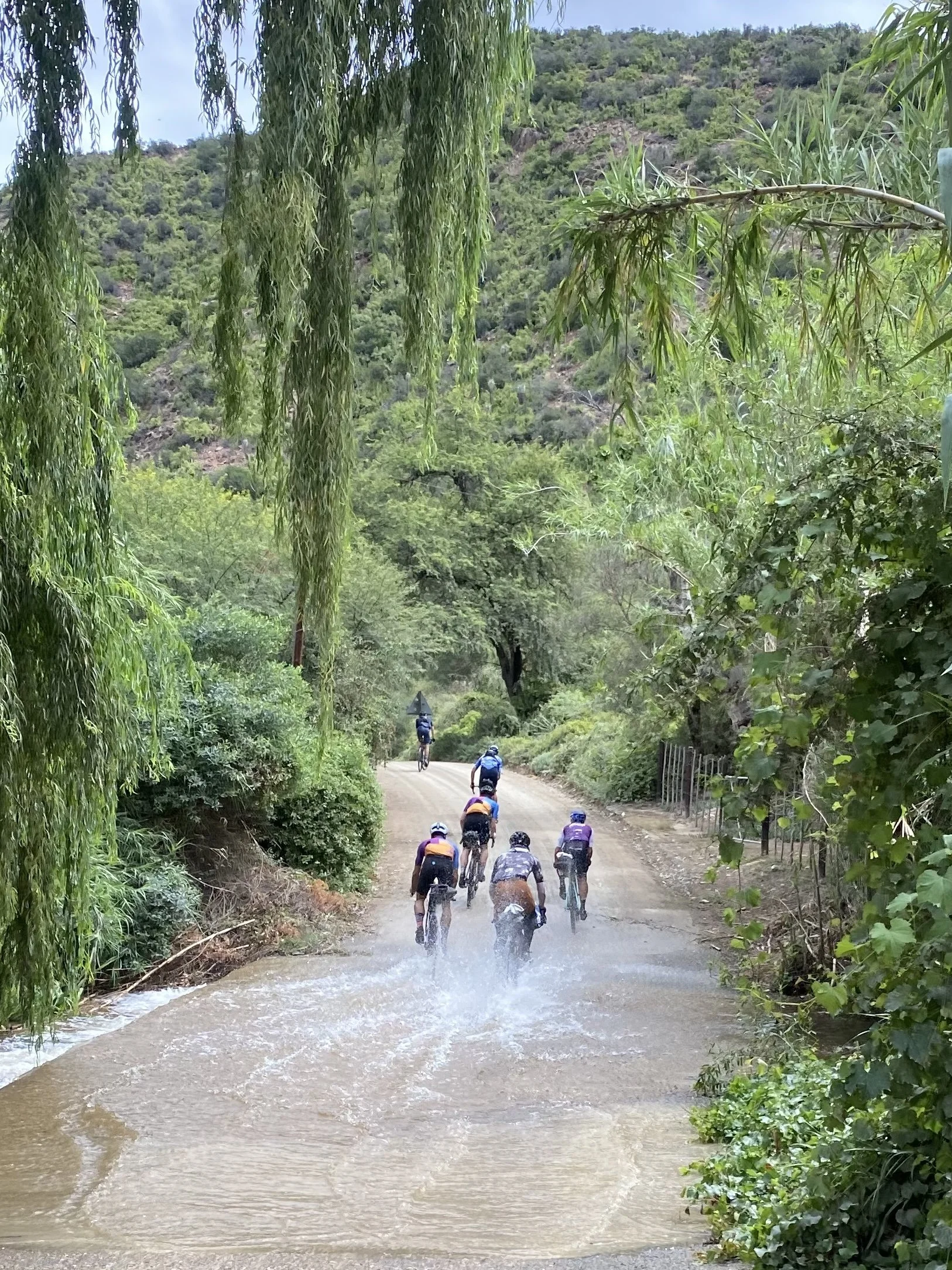 Group of cyclists biking through a flooded dirt road surrounded by lush green trees and hills in the background.