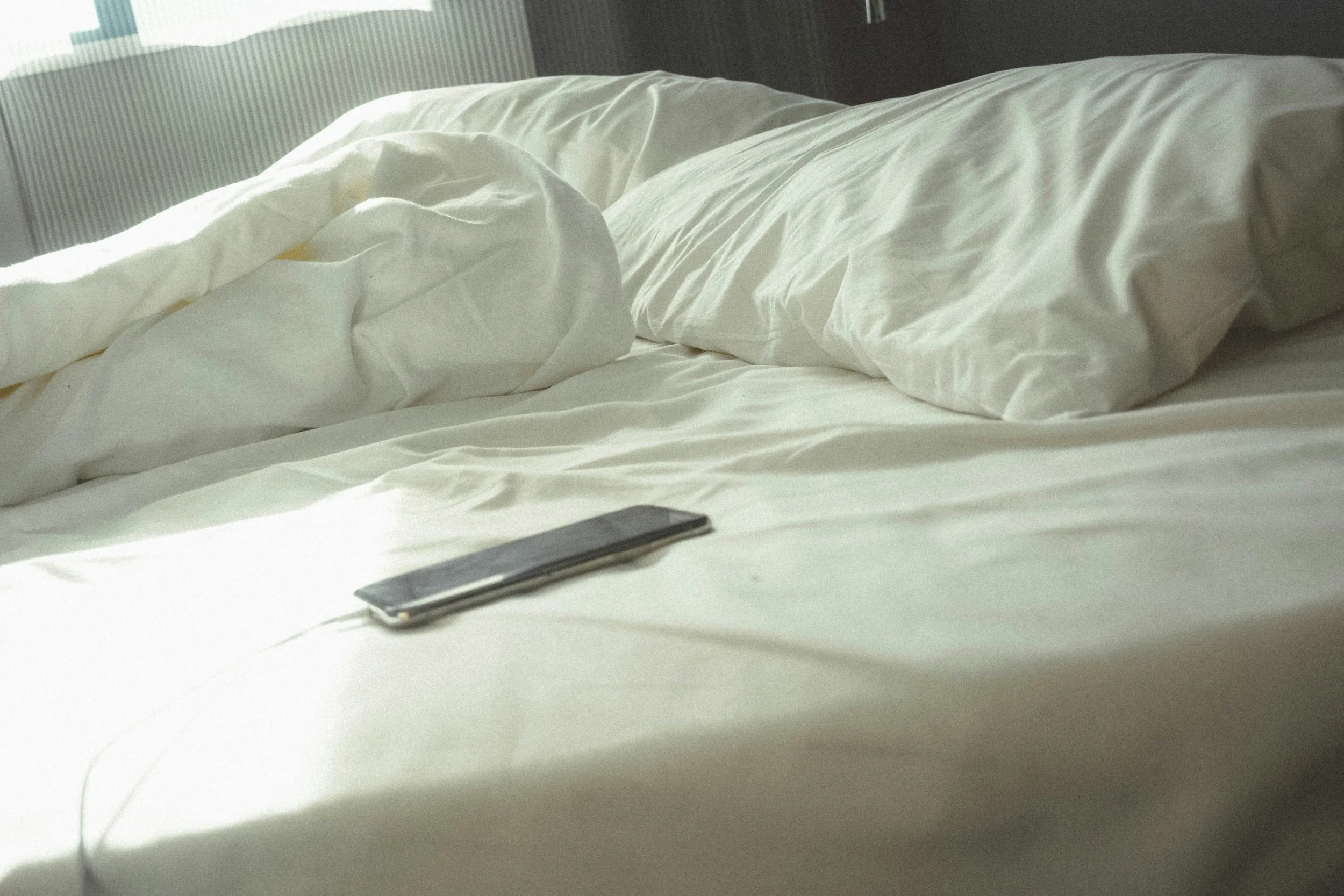 Unmade bed presumably hiding bed bugs with white sheets and pillows, a remote control on the bed, and a nightstand visible in the background.