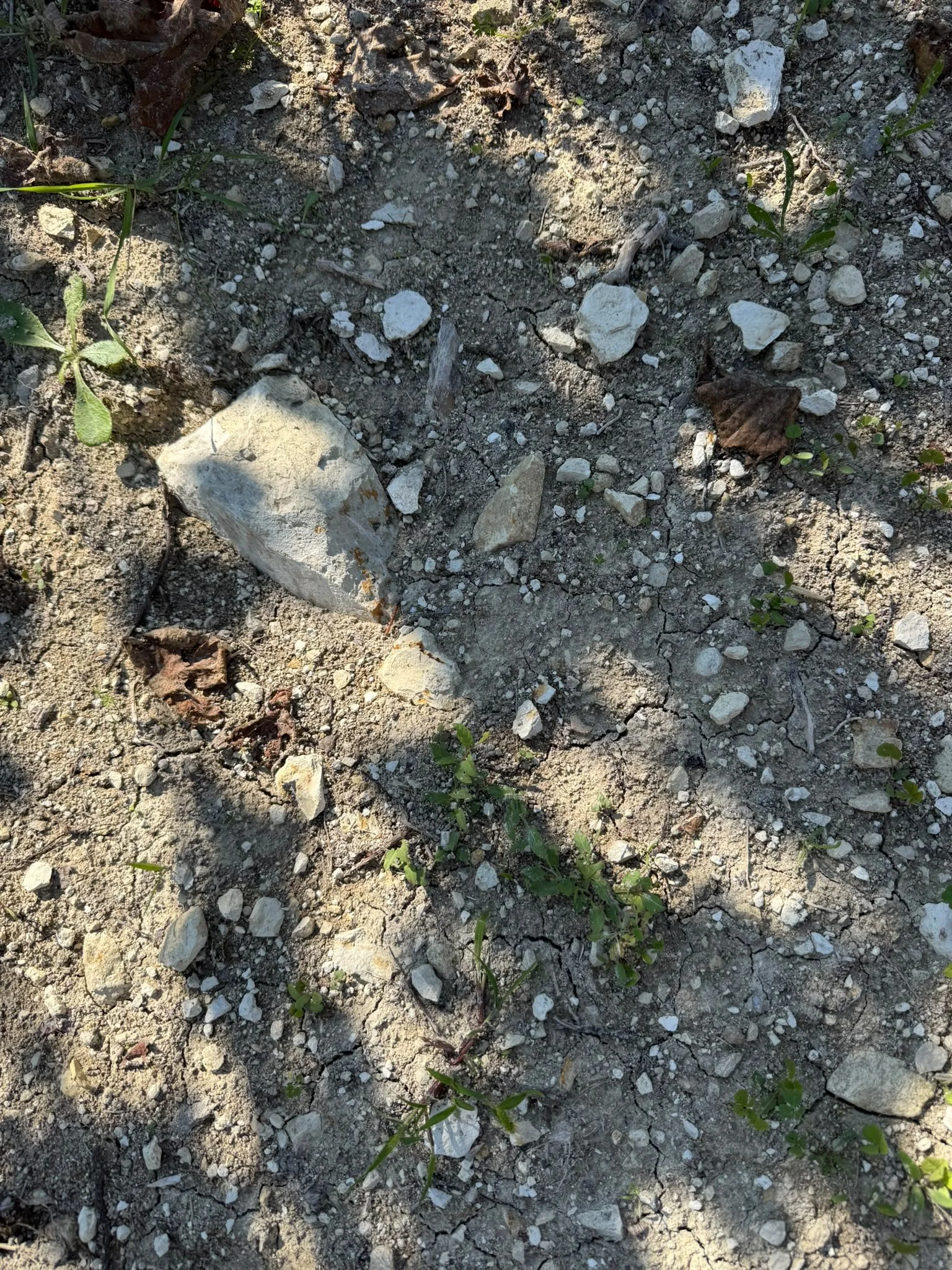 7f399f69-3589-4115-8ead-4bce480fed05.jpeg
