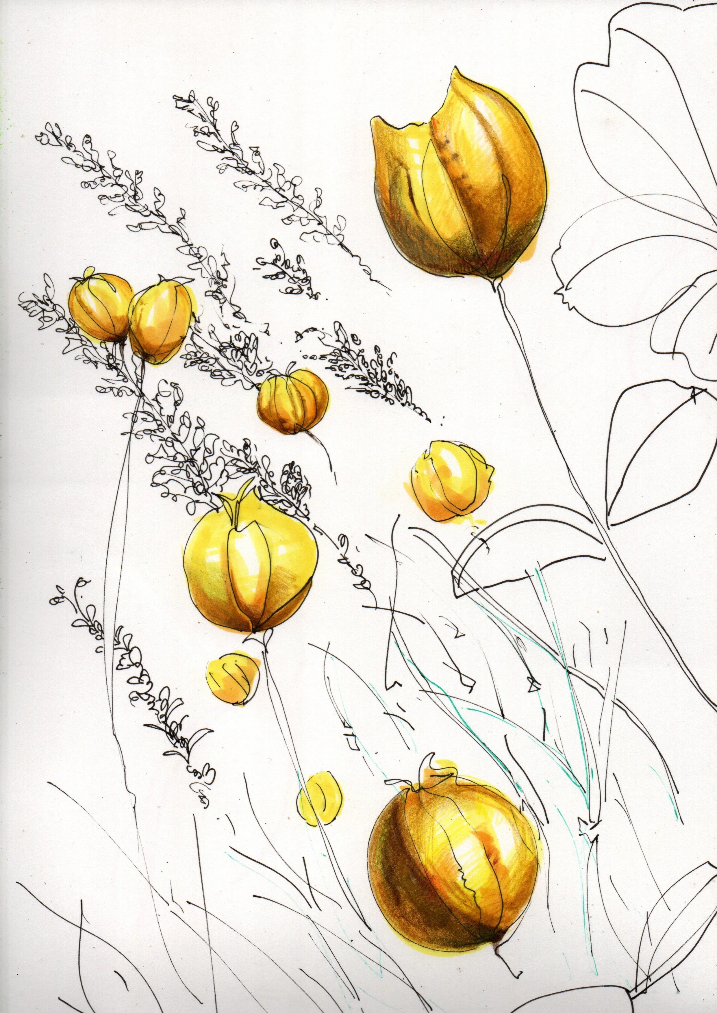 Growing in the Bright Direction Is Supportive