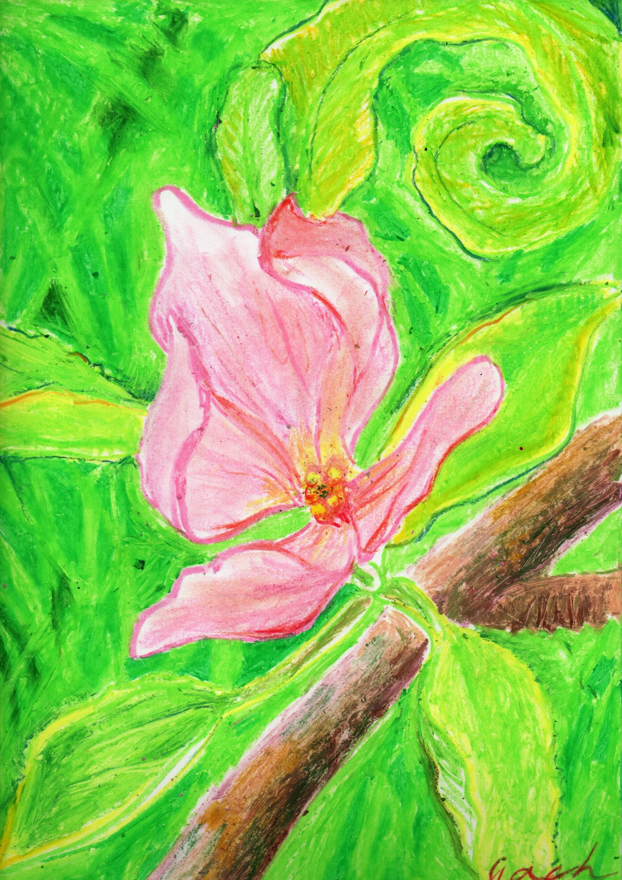 Spring Will Always Love to Bloom