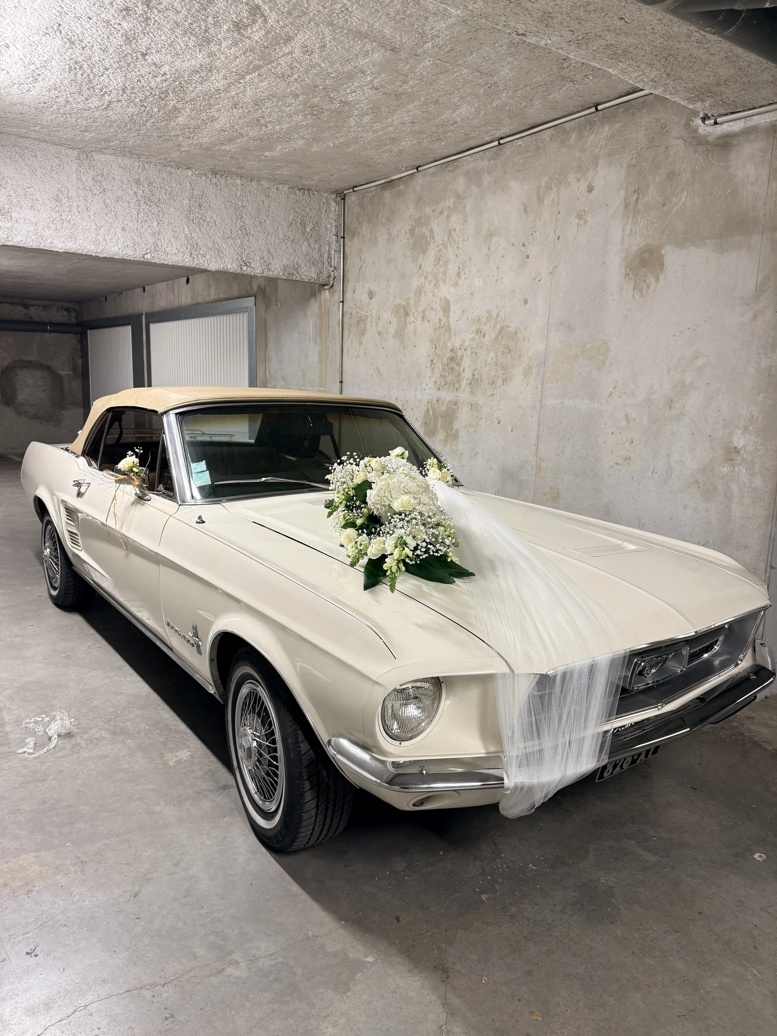 Décoration de voiture