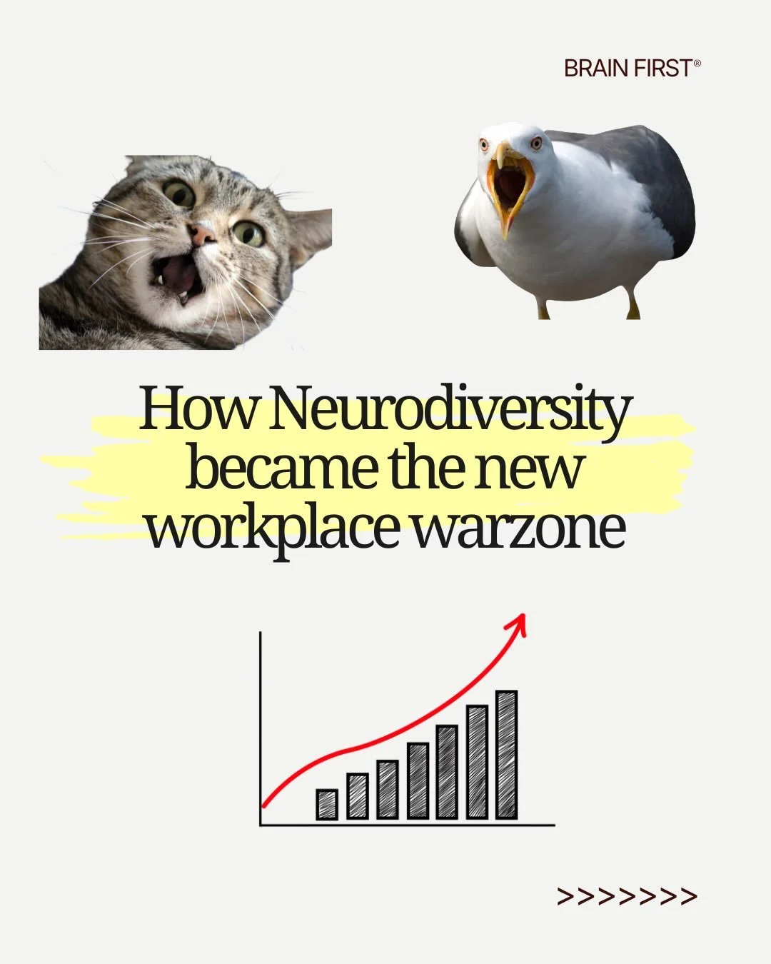 How neurodiversity because the new workplace war zone.

Do you recognise this cycle?

#neurodiversity #brainfirst