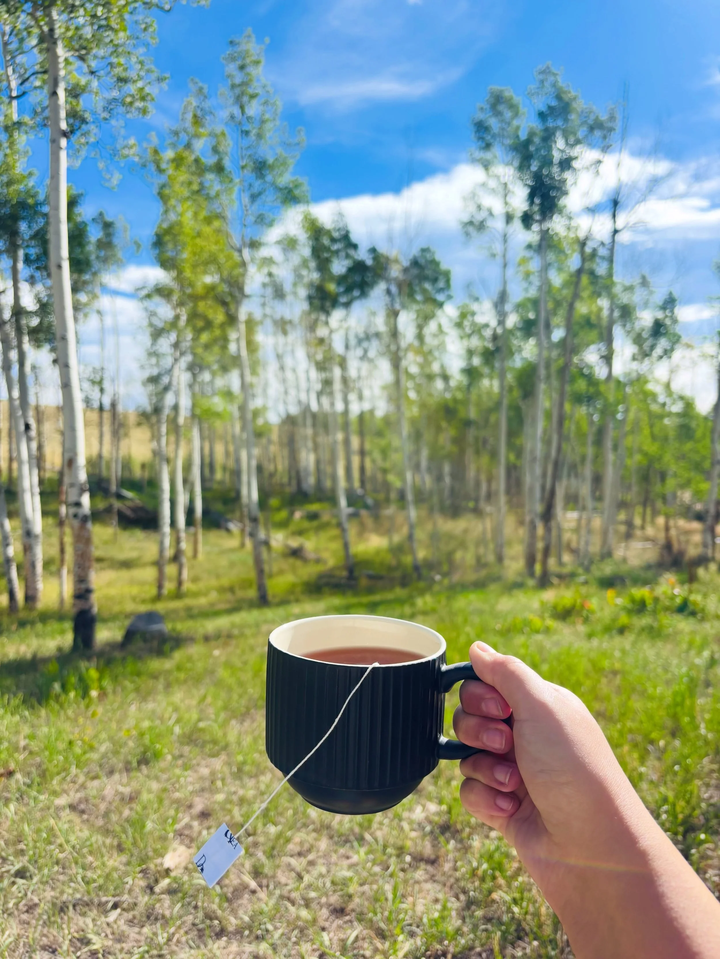 Perfect morning at the Kenosha Cabin. :)

#cabin #colorado #cabinlife #cabinliving #aspen
