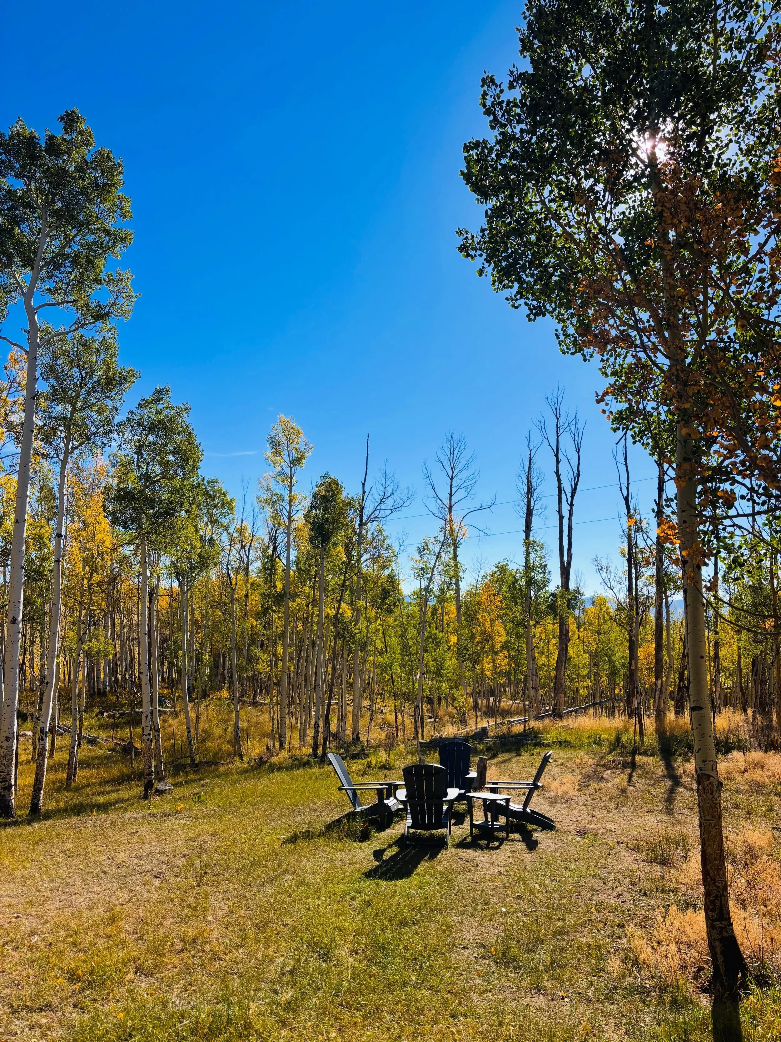 Happy fall :) 🍁🍂 #colorado #fallvibes #fall #aspen #cabinlife