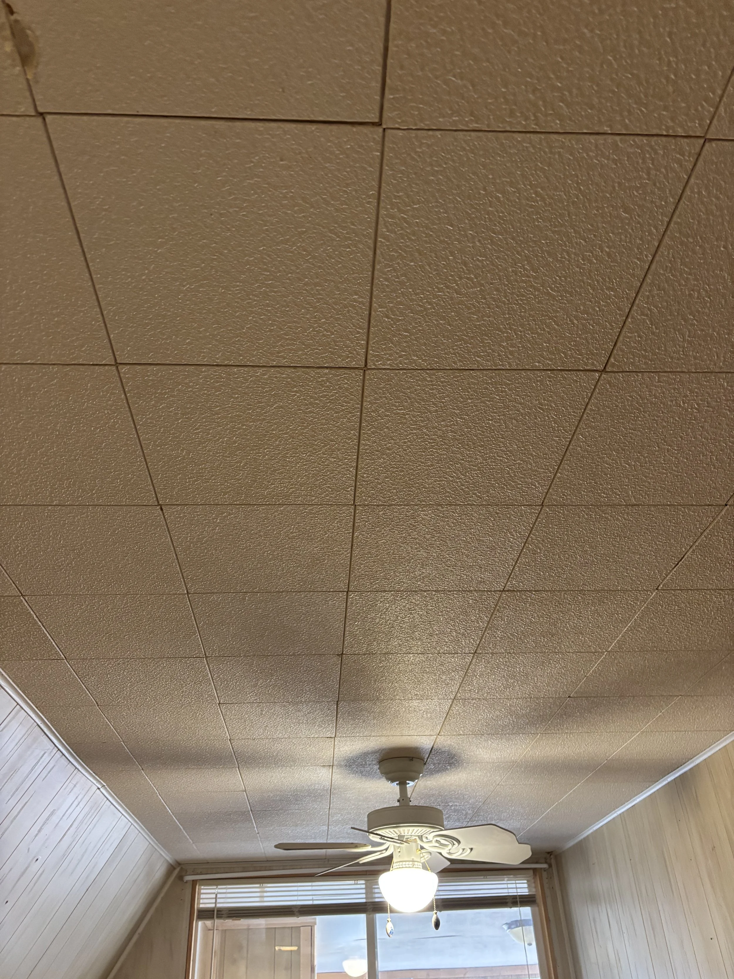 Ceiling with textured beige tiles, ceiling fan with light fixture, and window with blinds.