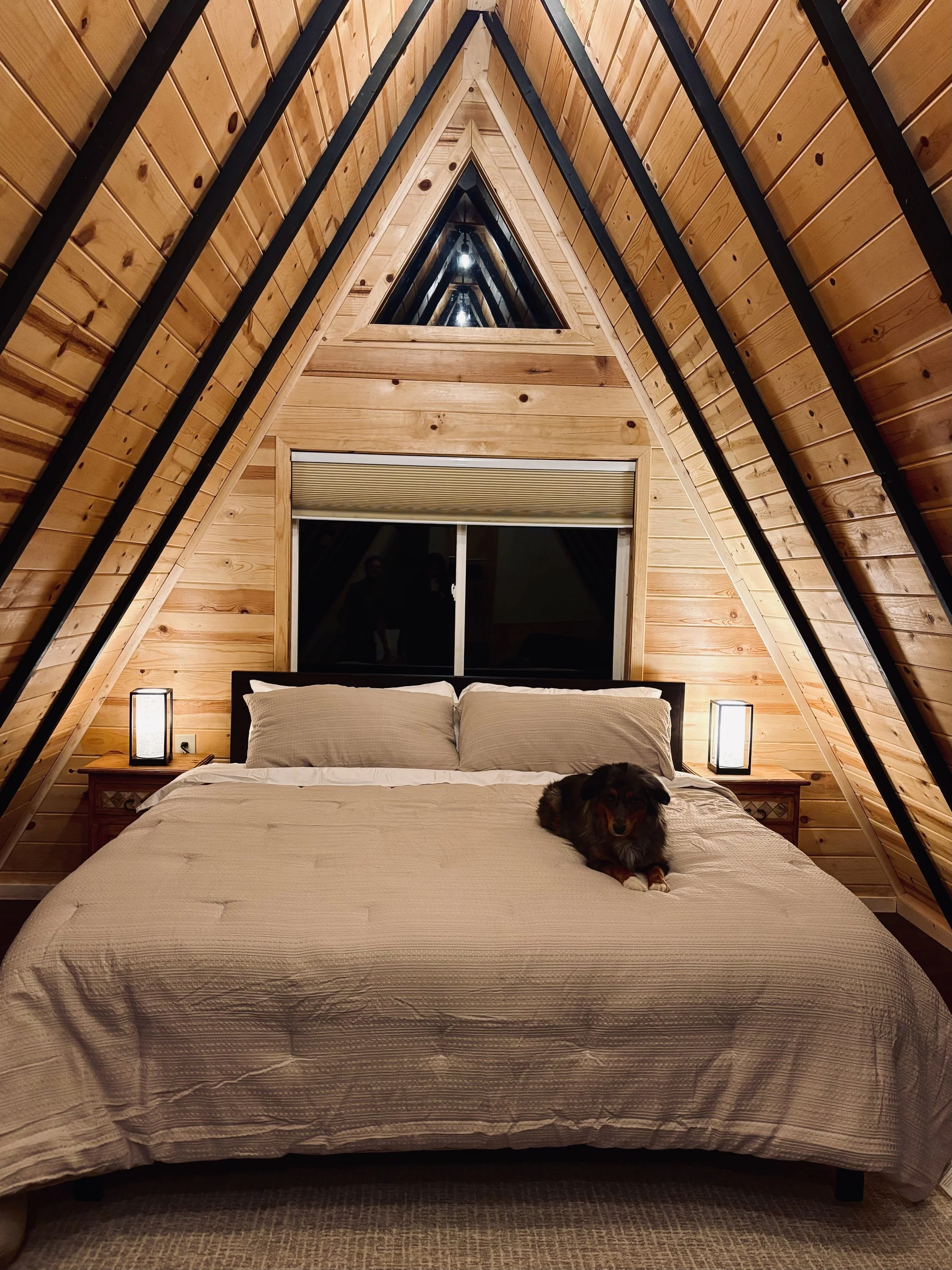 A cozy bedroom features a wooden interior with sloped ceilings and black supports; a large bed with beige bedding, pillows, and a dog; and nightstands with lamps.