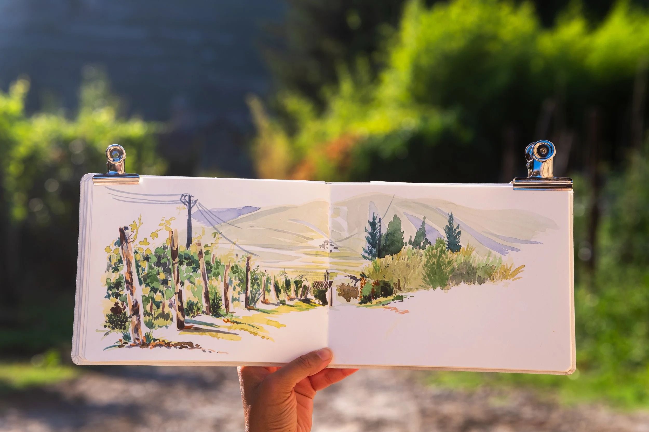 Une personne tient un carnet de croquis avec une peinture représentant un paysage de vignes, d'arbres et de montagnes, avec un fond flou de nature en plein air.