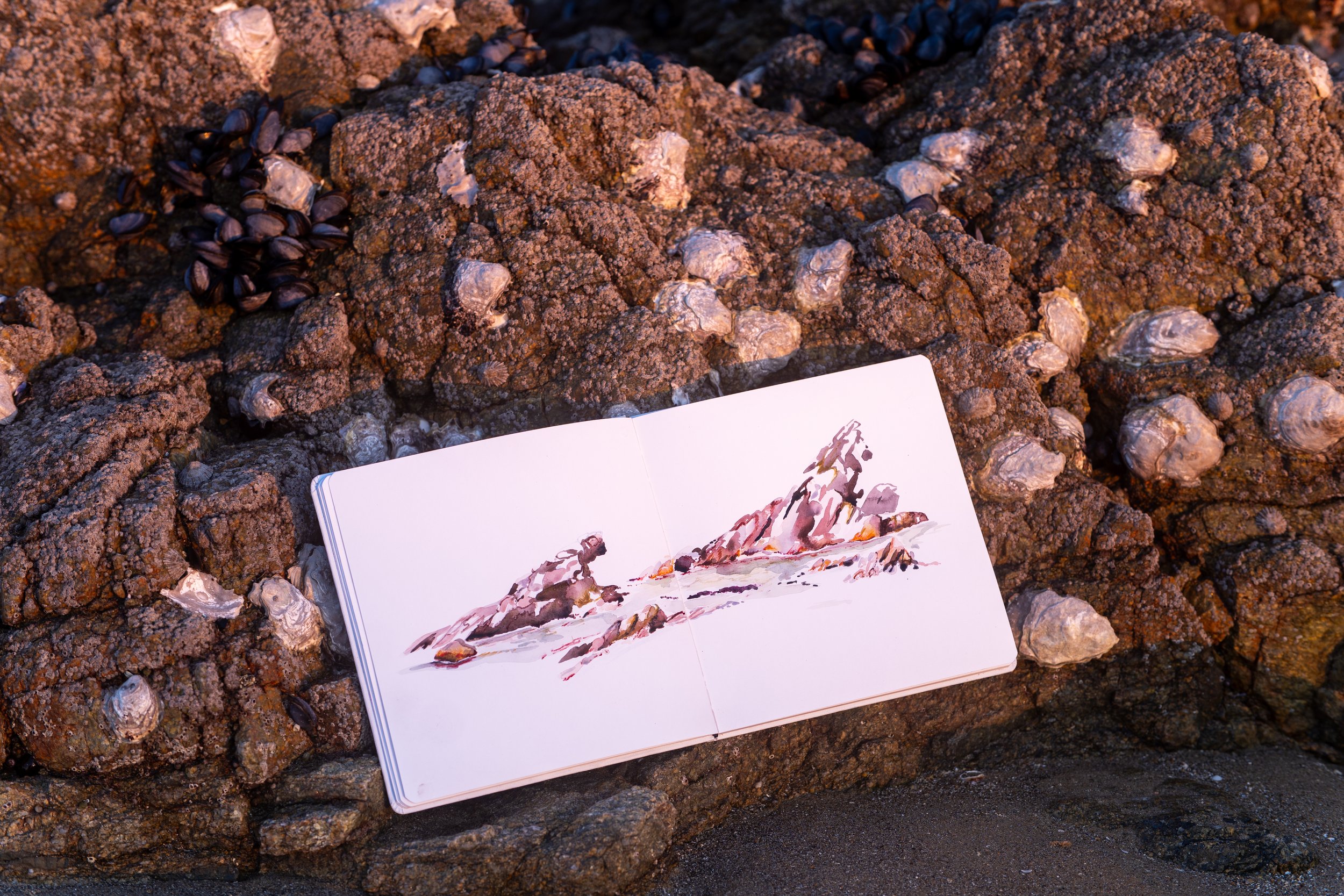 Un livre ouvert avec une aquarelle de paysage rocheux est posé sur une surface rocheuse. Autour, des rochers et des coquillages. La scène est prise dans un environnement naturel, probablement au bord de la mer.