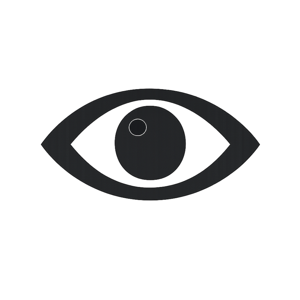 Surveillance investigation icon