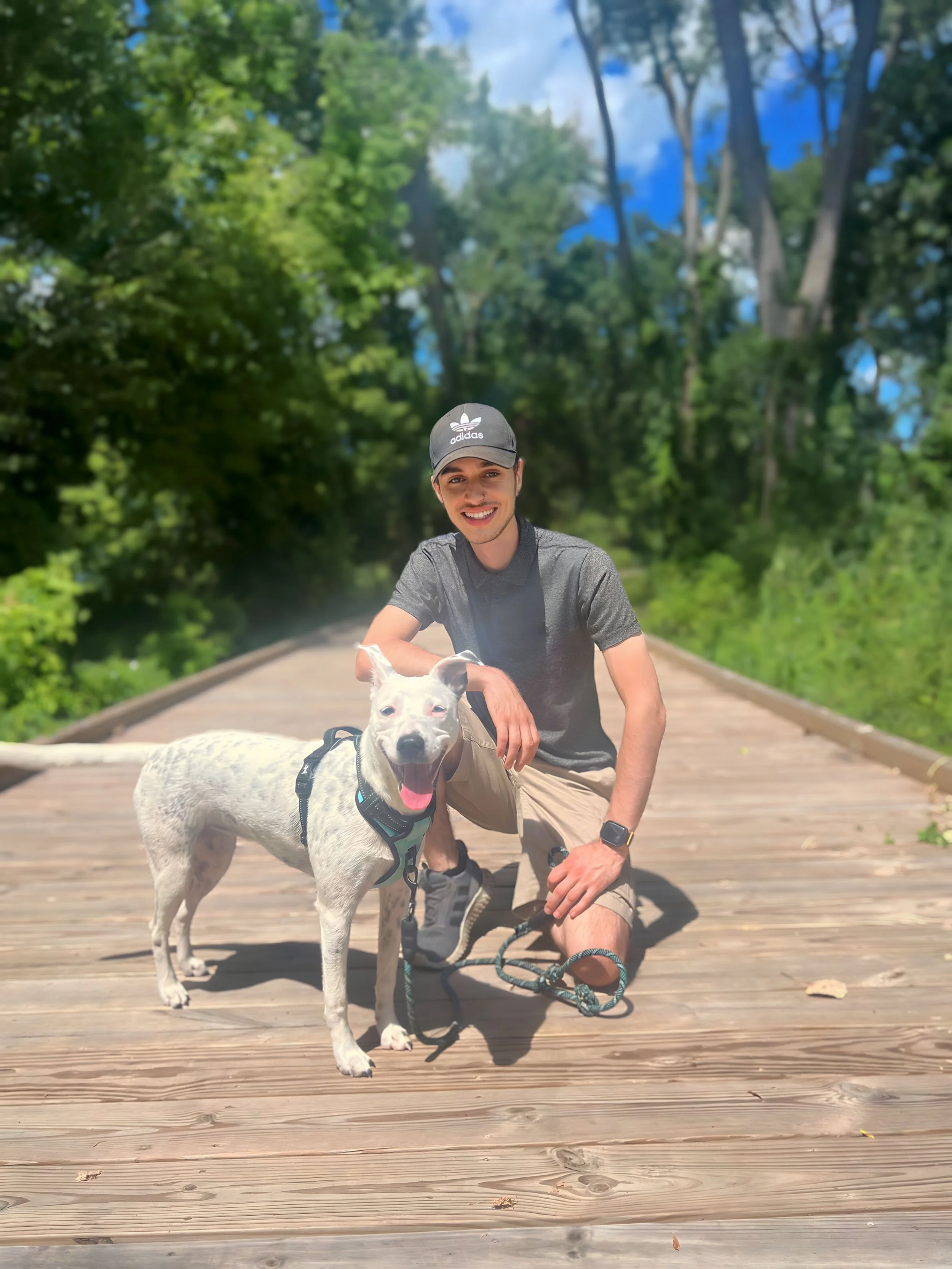 A young man in a gray shirt and black Adidas cap kneels on a wooden bridge, holding a leash attached to a white dog with black spots. The man is smiling at the camera. The background features a lush green forest with tall trees and blue sky.