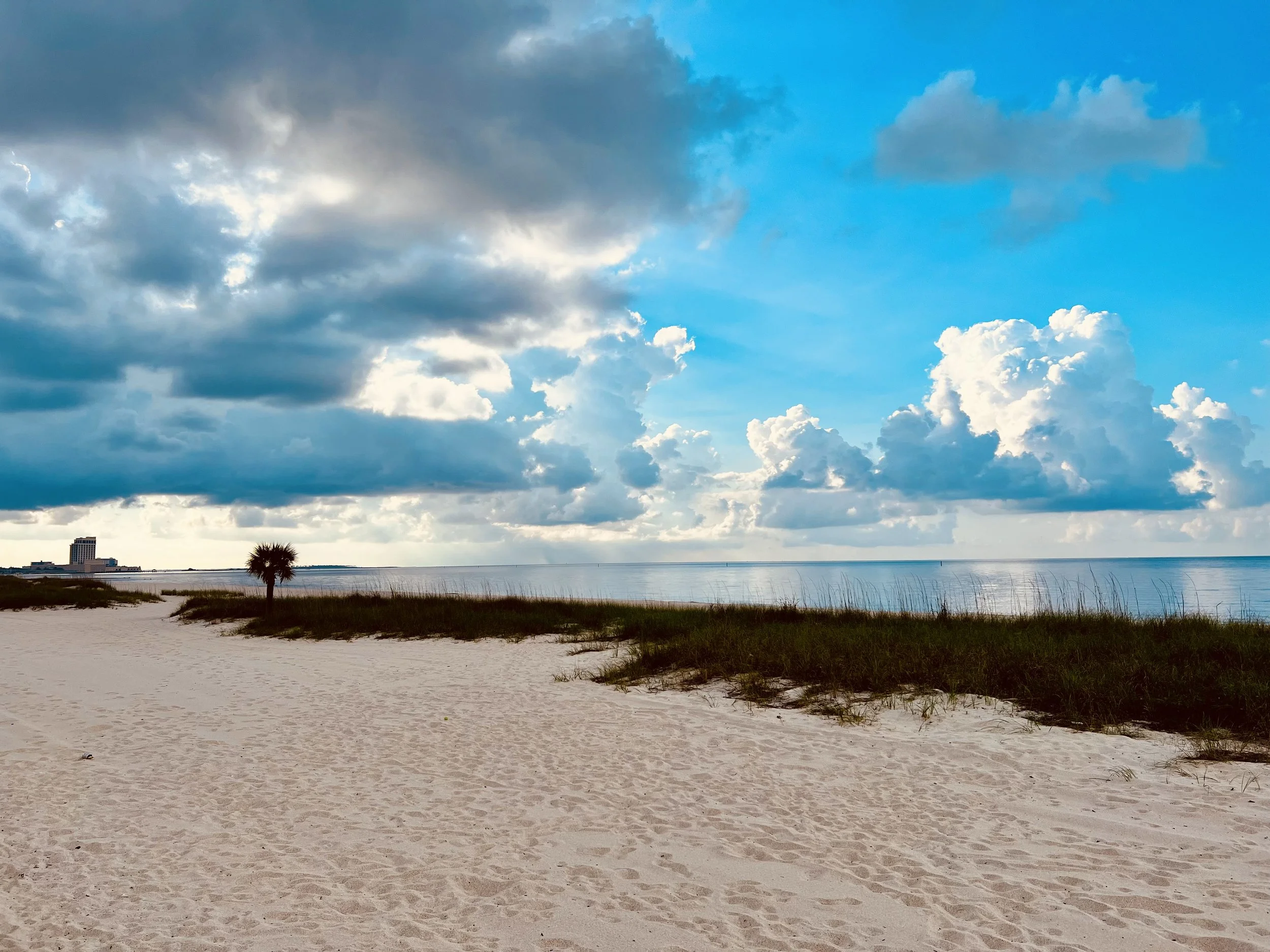 Mississippi Gulf Coast beach with palm tree and dramatic clouds