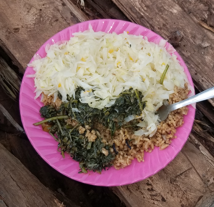 A pink plate contains cooked rice, leafy greens, and shredded cabbage, placed on a wooden surface.