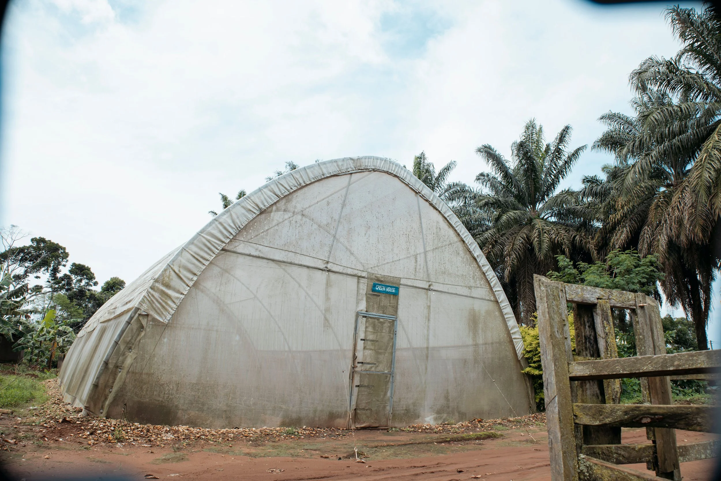 A large, semi-circular green house with a label that reads 'Green House' on the front, set against a background of tall palm trees and a cloudy sky.