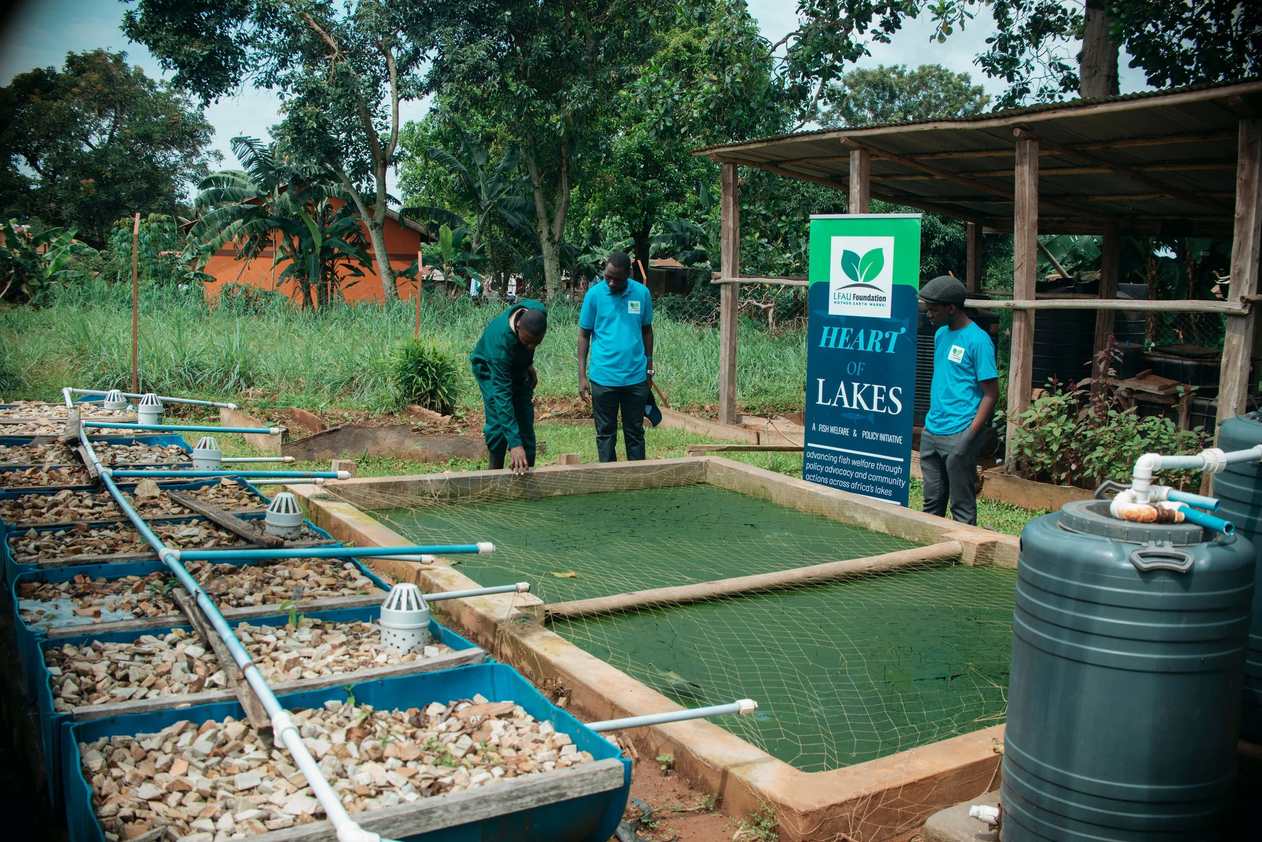 Three men working at a fish pond, with a sign that reads "Heart of Lakes," surrounded by greenery and trees.