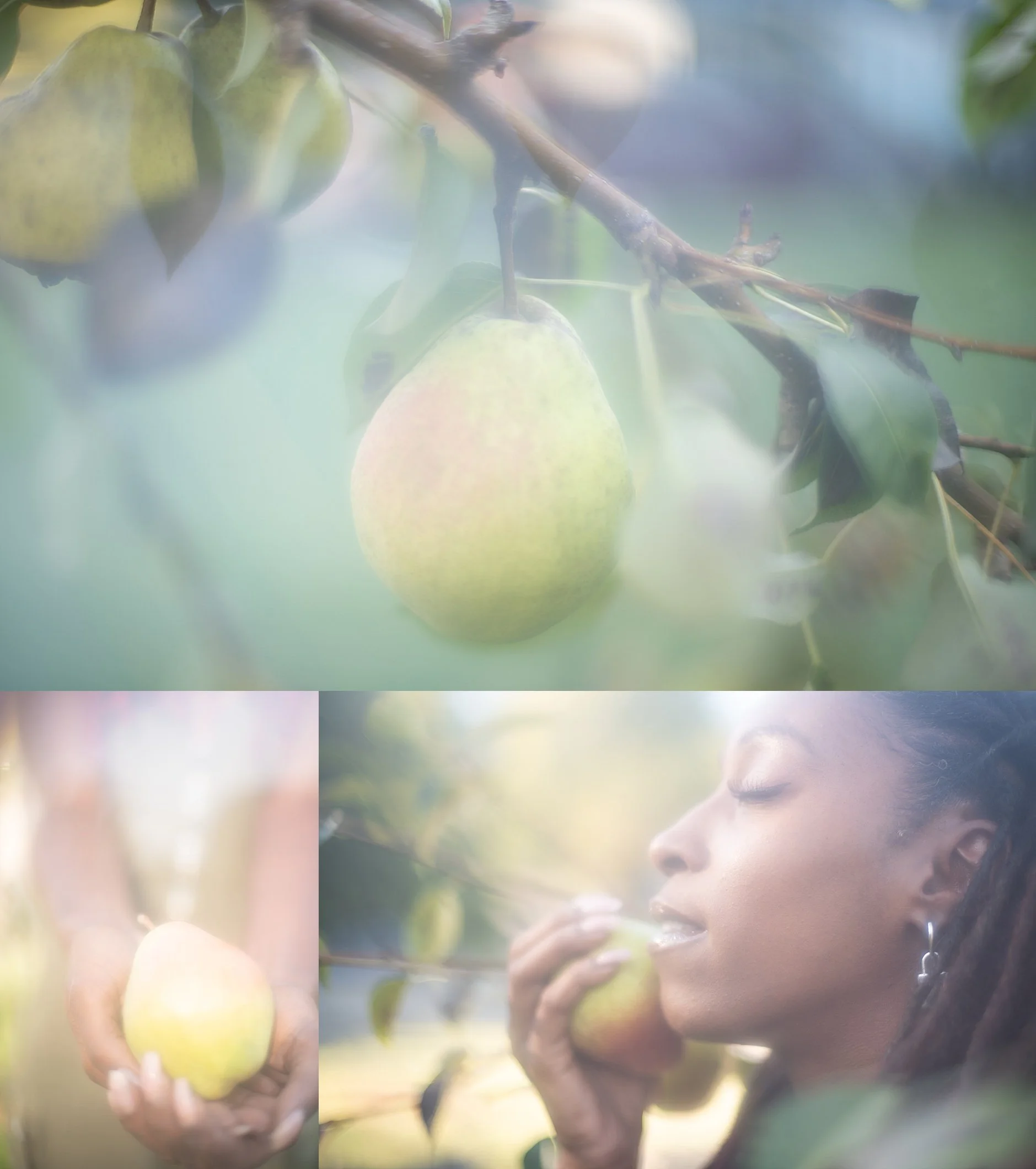 Cookeville_Ethereal_Portraits.jpg