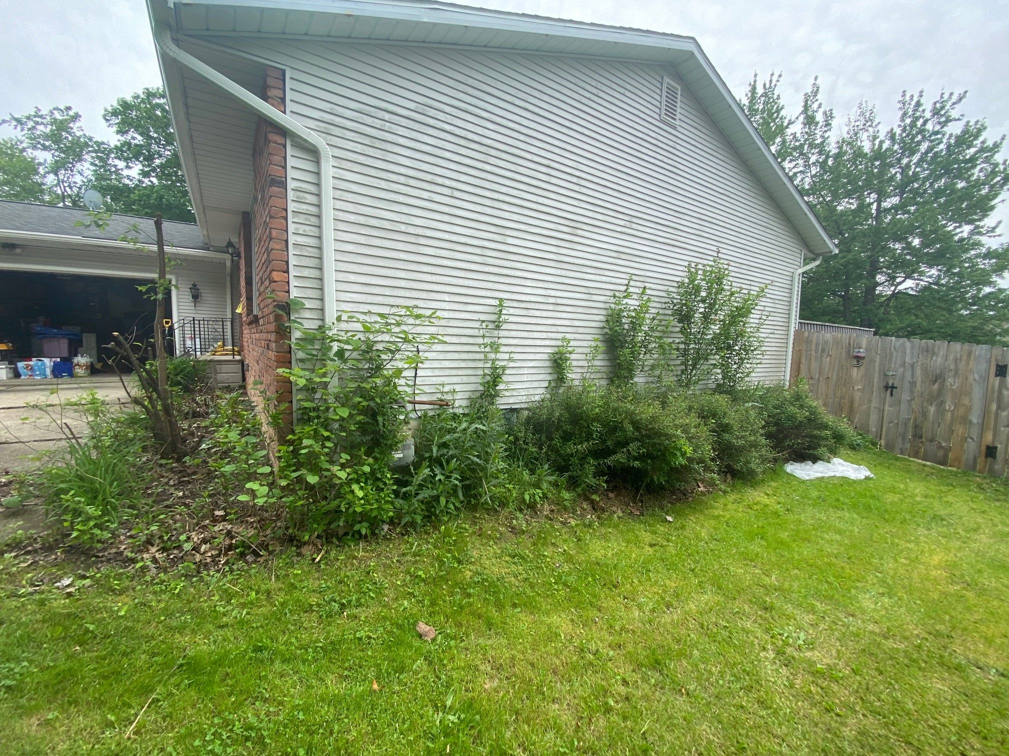 Side view of a house with white siding and a brick chimney, surrounded by a green outdoor yard with plants and trees. Brunswick Ohio