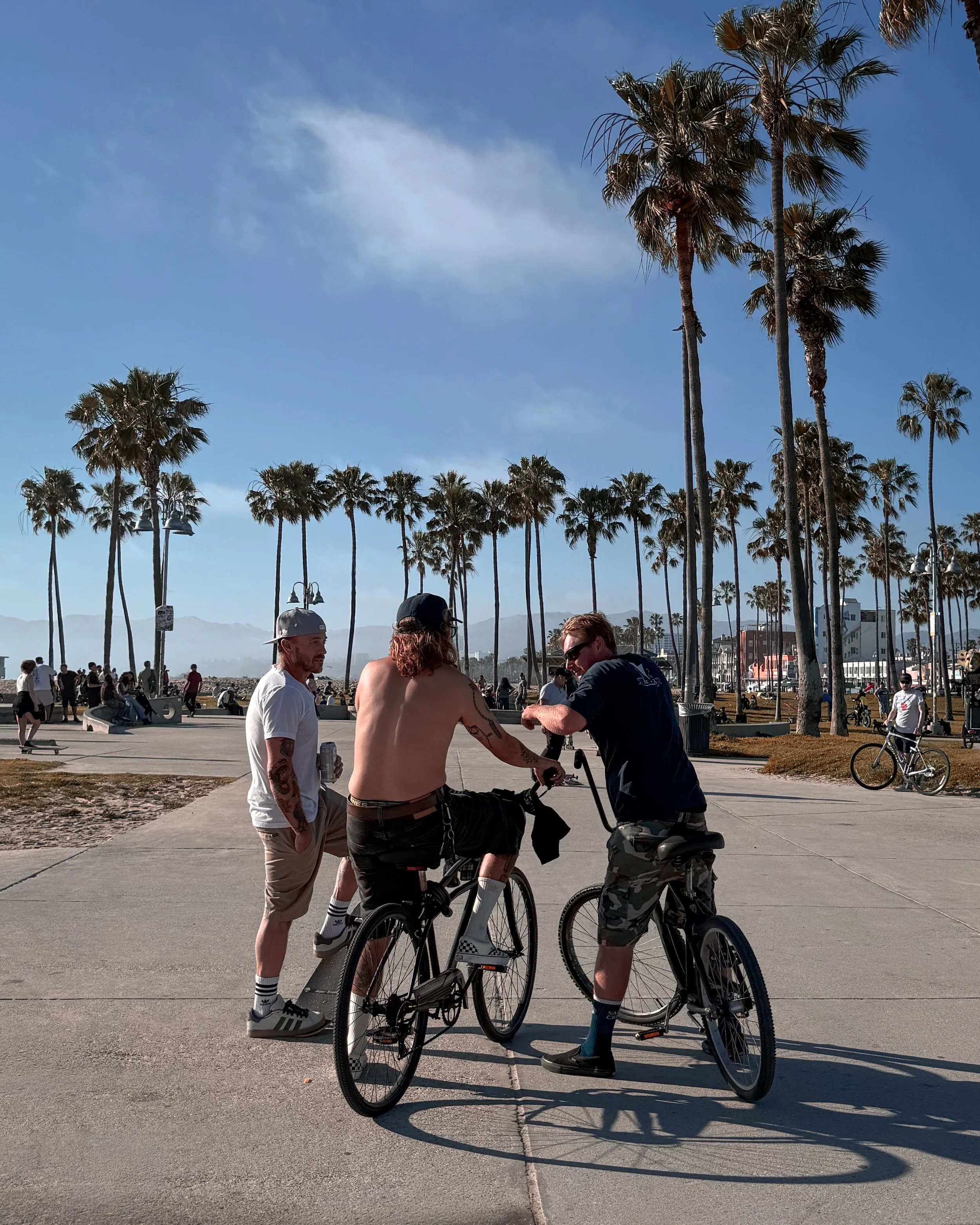 Three people standing and talking near bicycles under tall palm trees on a sunny day at a beach park with many people in the background.