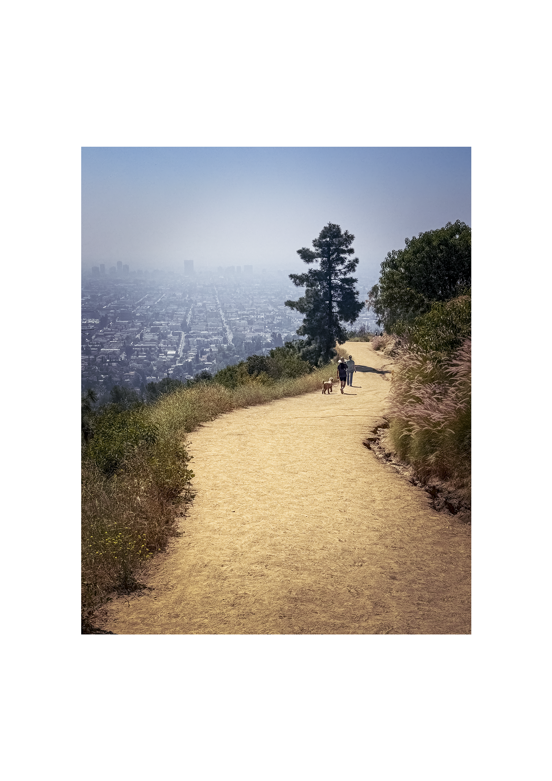 LA_hill walk_white.png