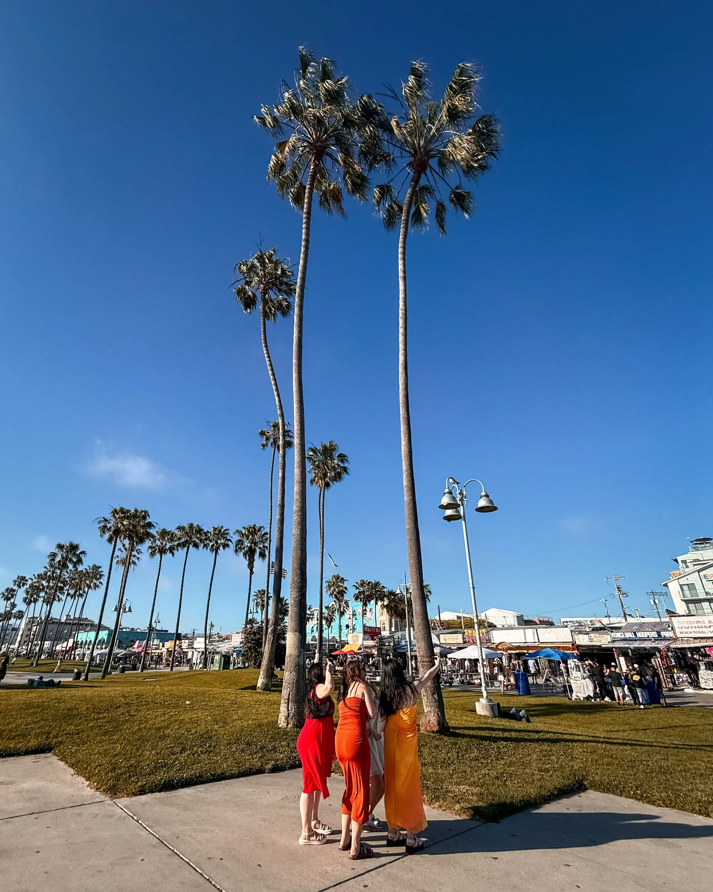 Group of four women dressed in colorful dresses, standing together on a sidewalk in front of tall palm trees under a clear blue sky, near a beach town with shops and umbrellas.